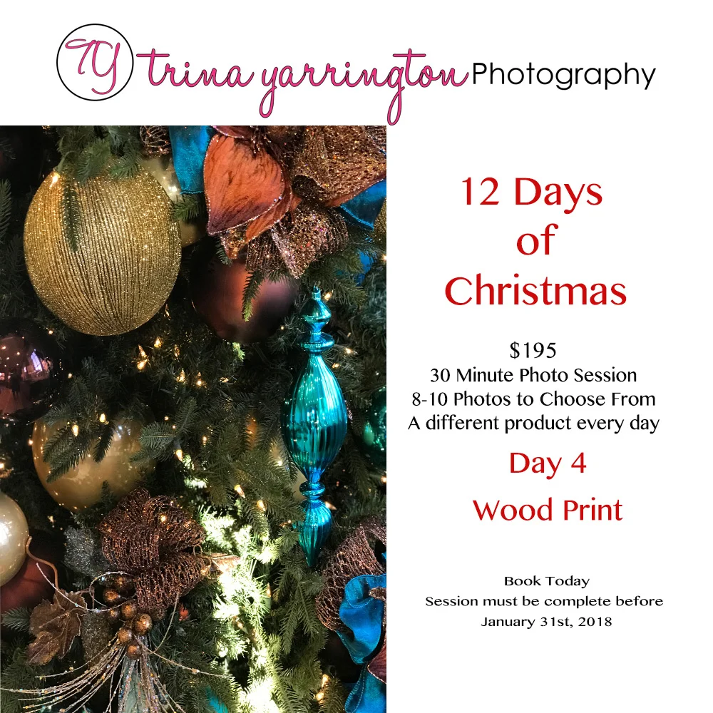 12 Days of Christmas_D4.jpg