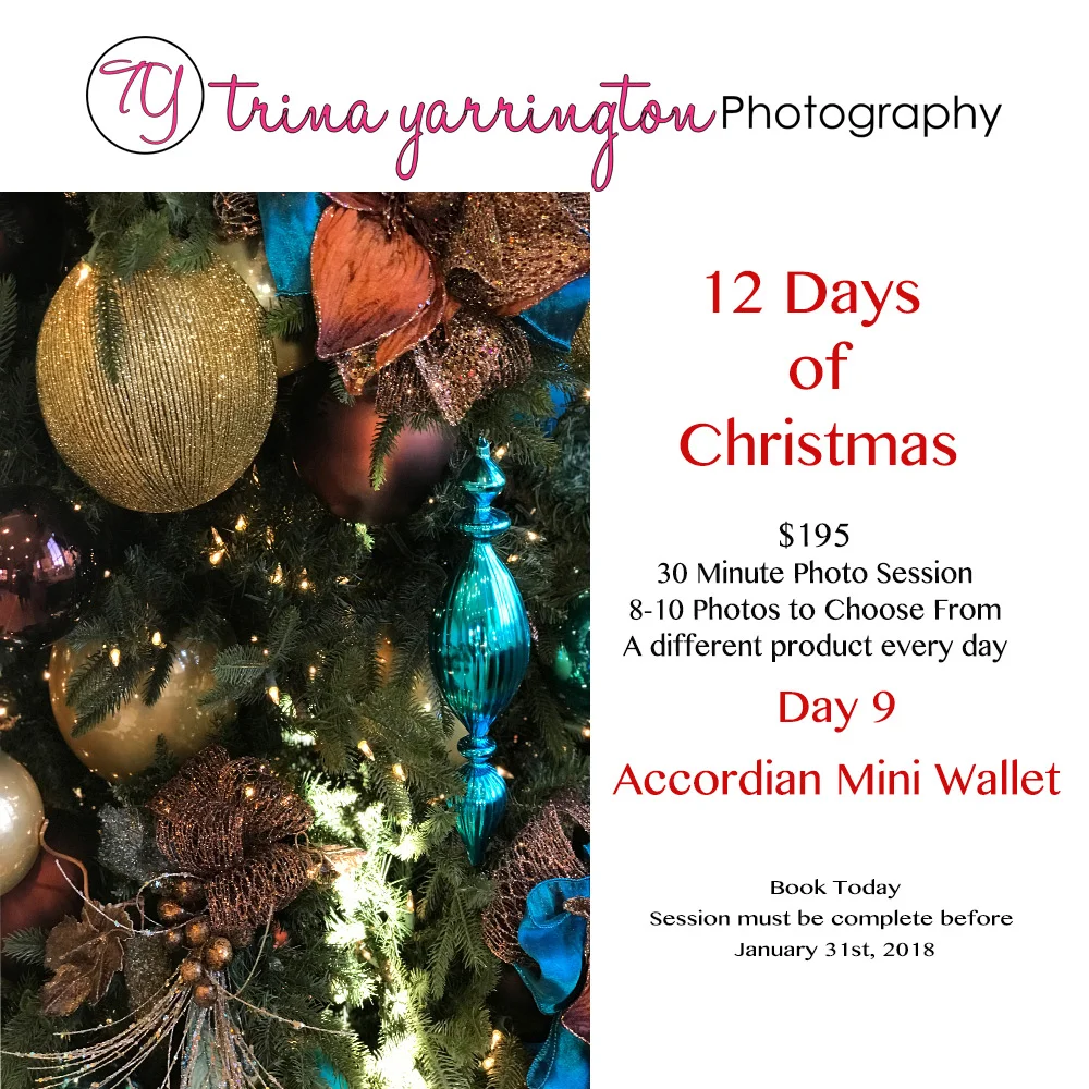 12 Days of Christmas_D9.jpg