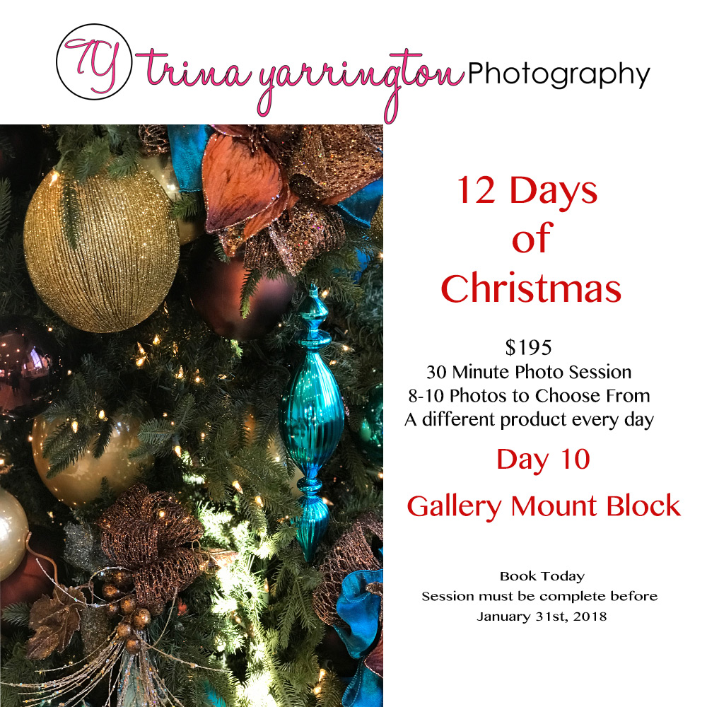 12 Days of Christmas_D10.jpg