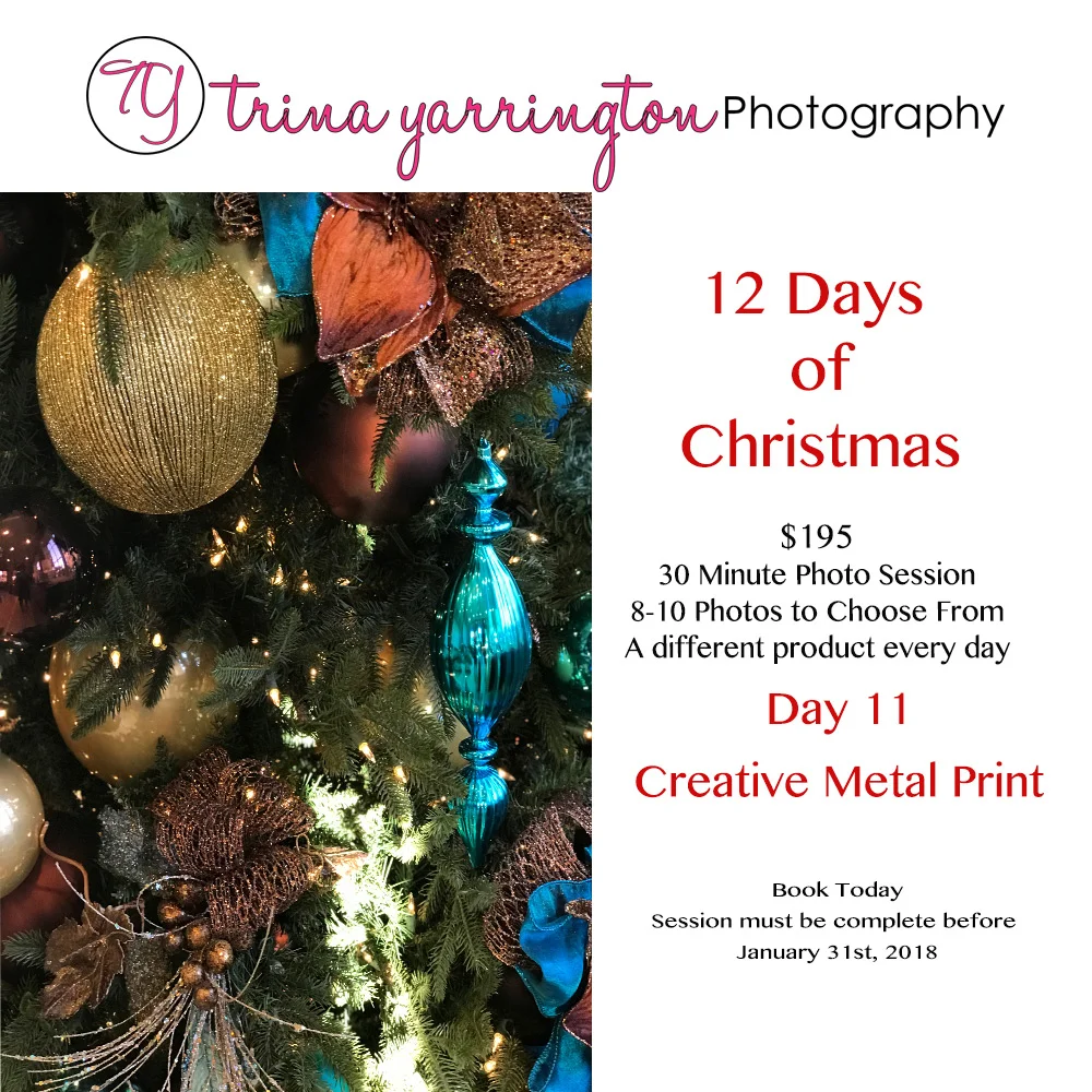 12 Days of Christmas_D11.jpg