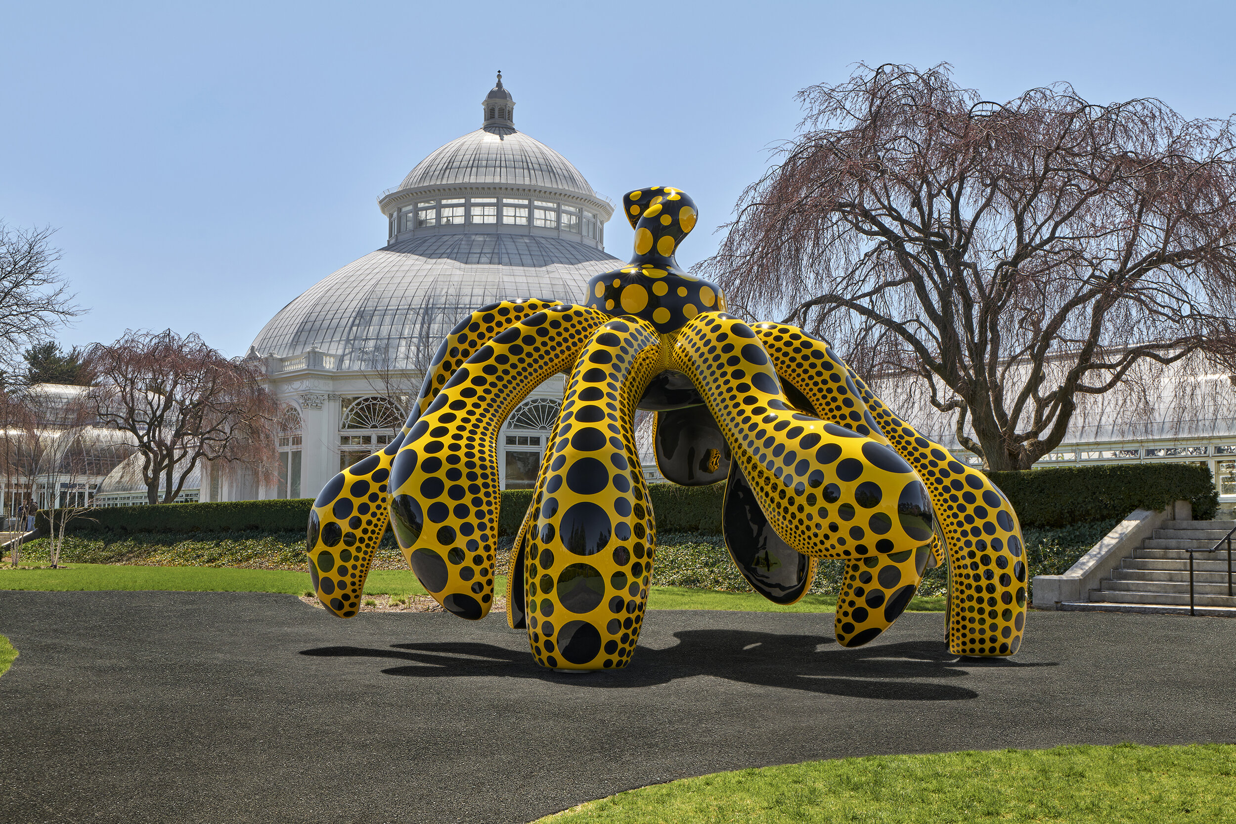 NYBG_Kusama_01.jpg