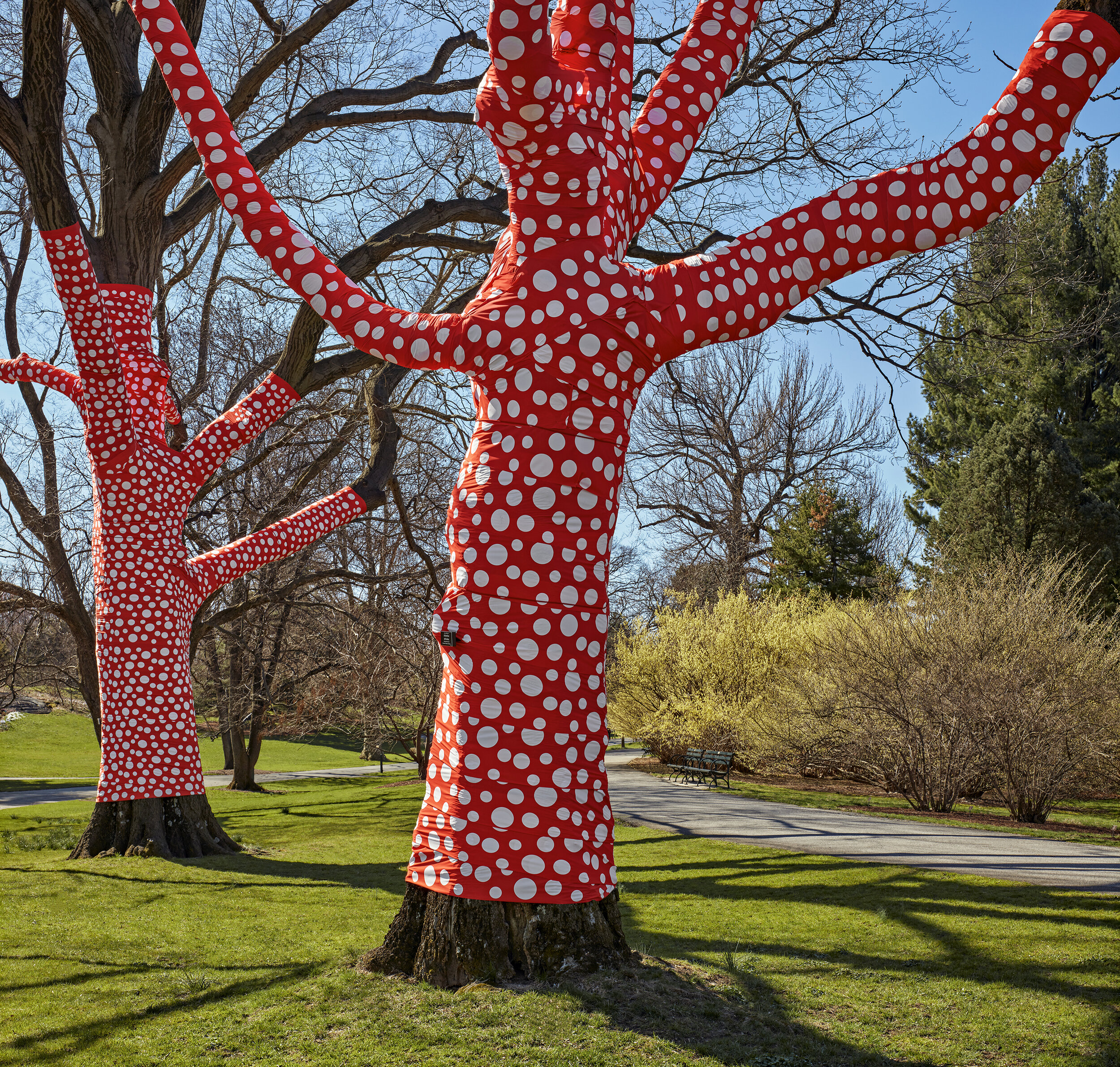 NYBG_Kusama_02.jpg