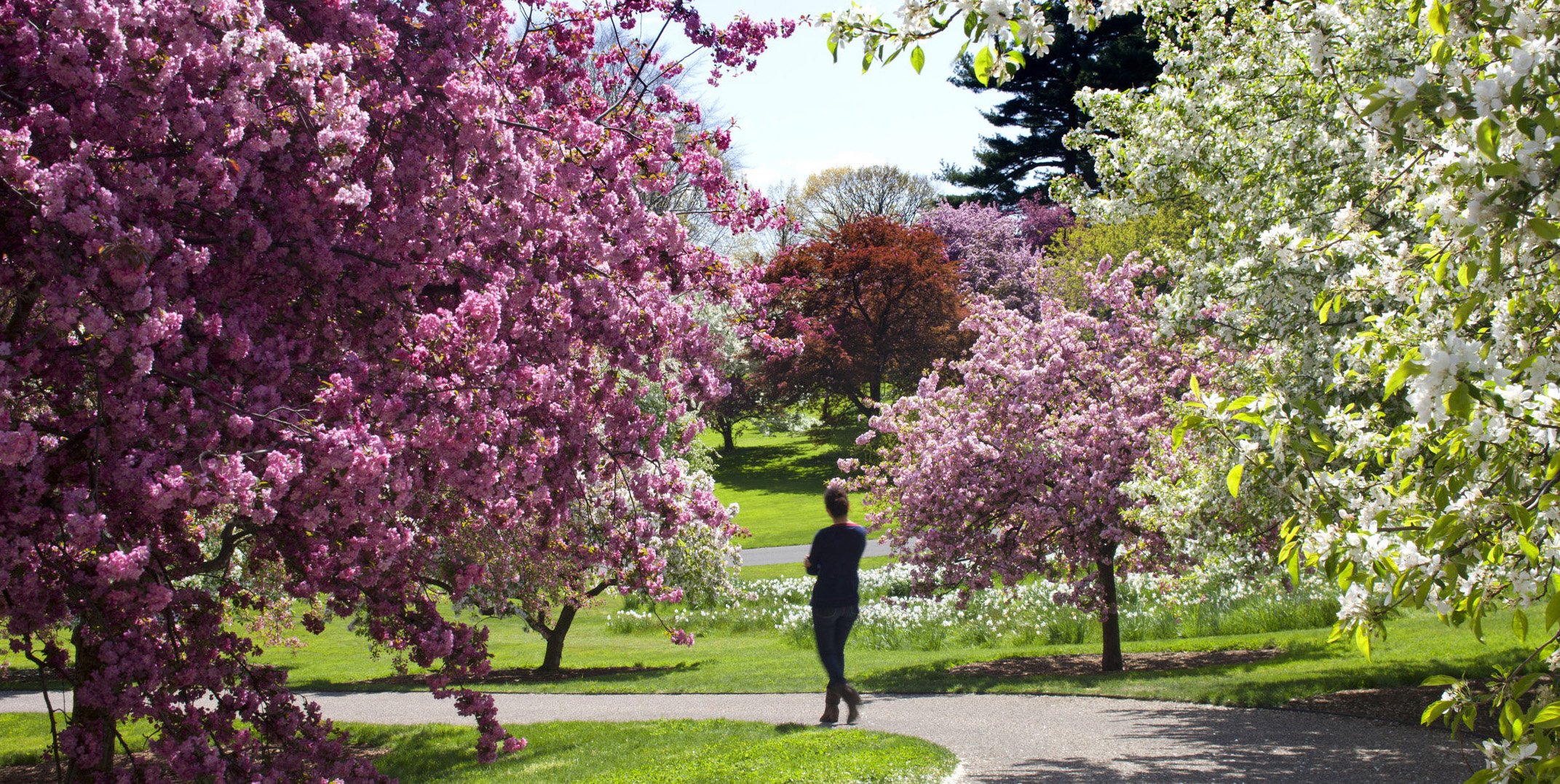 New York Botanical Garden 