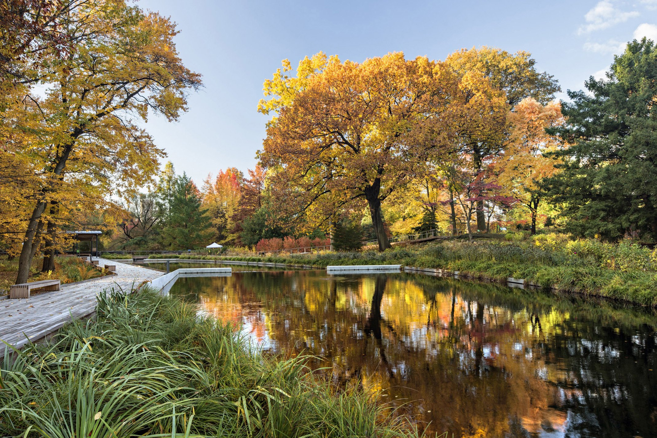 New York Botanical Garden 