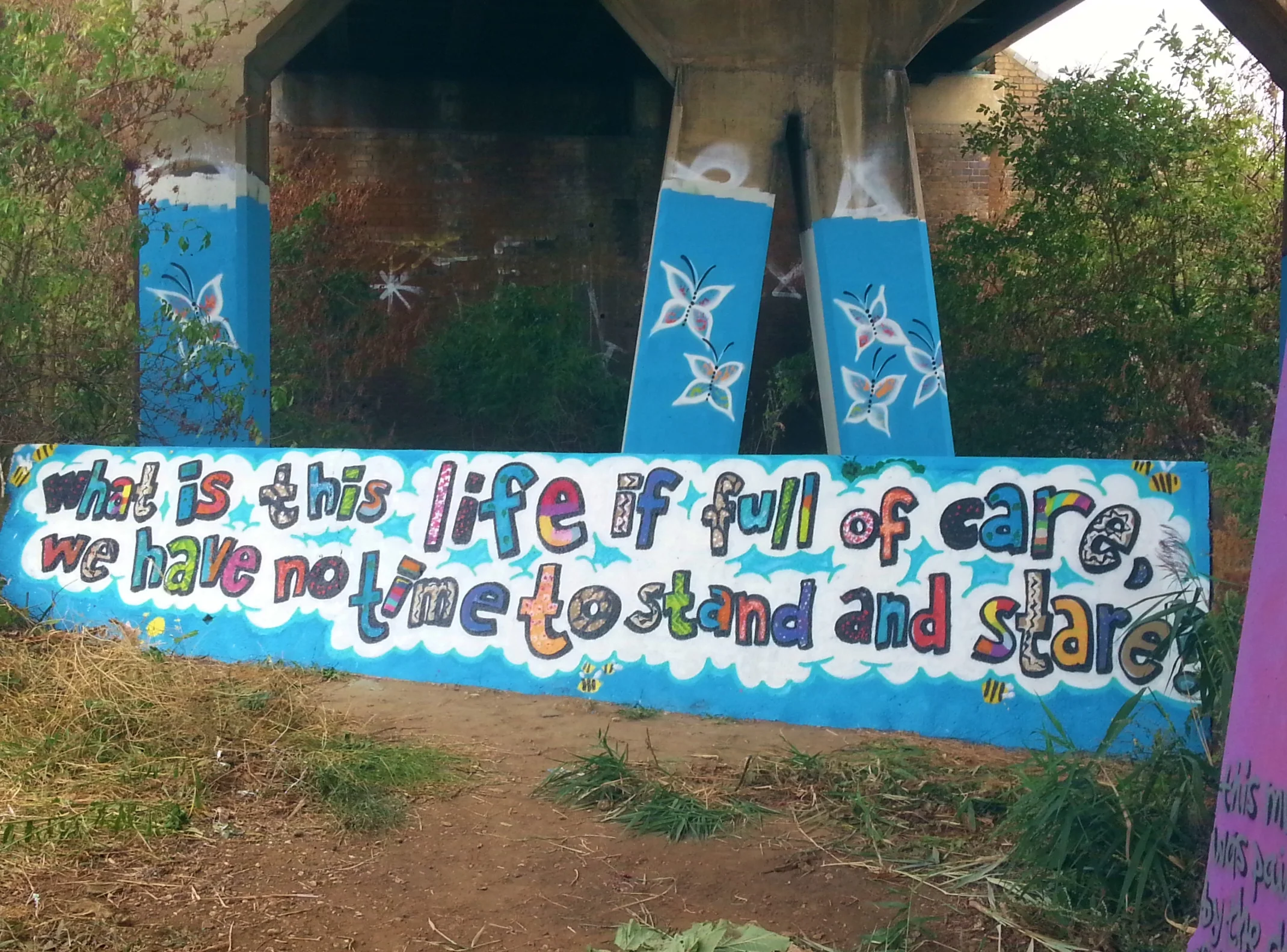 20130823_134520.jpg