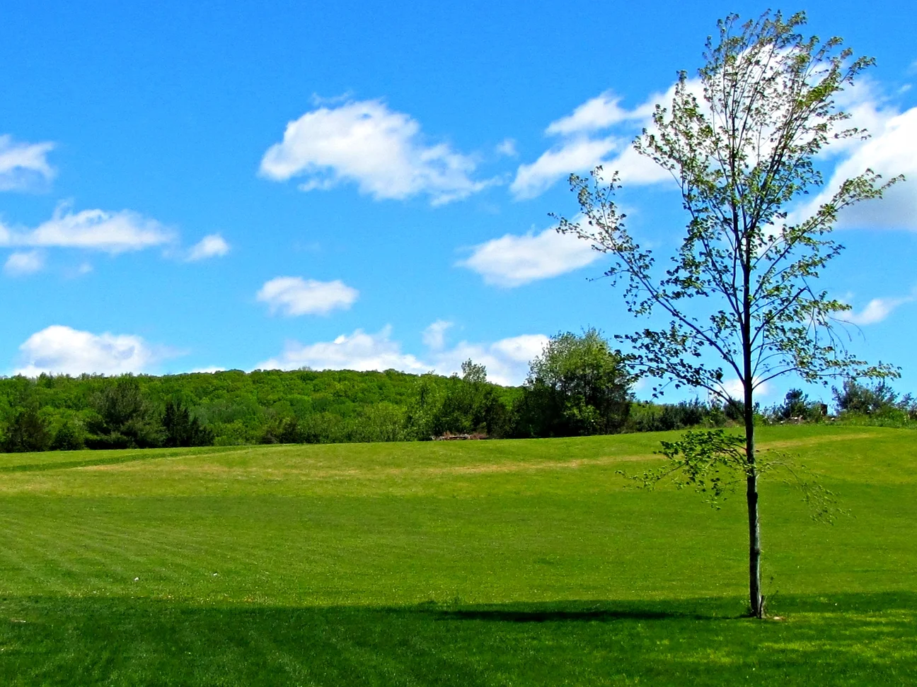 News at Lone Oak — Lone Oak Campsites