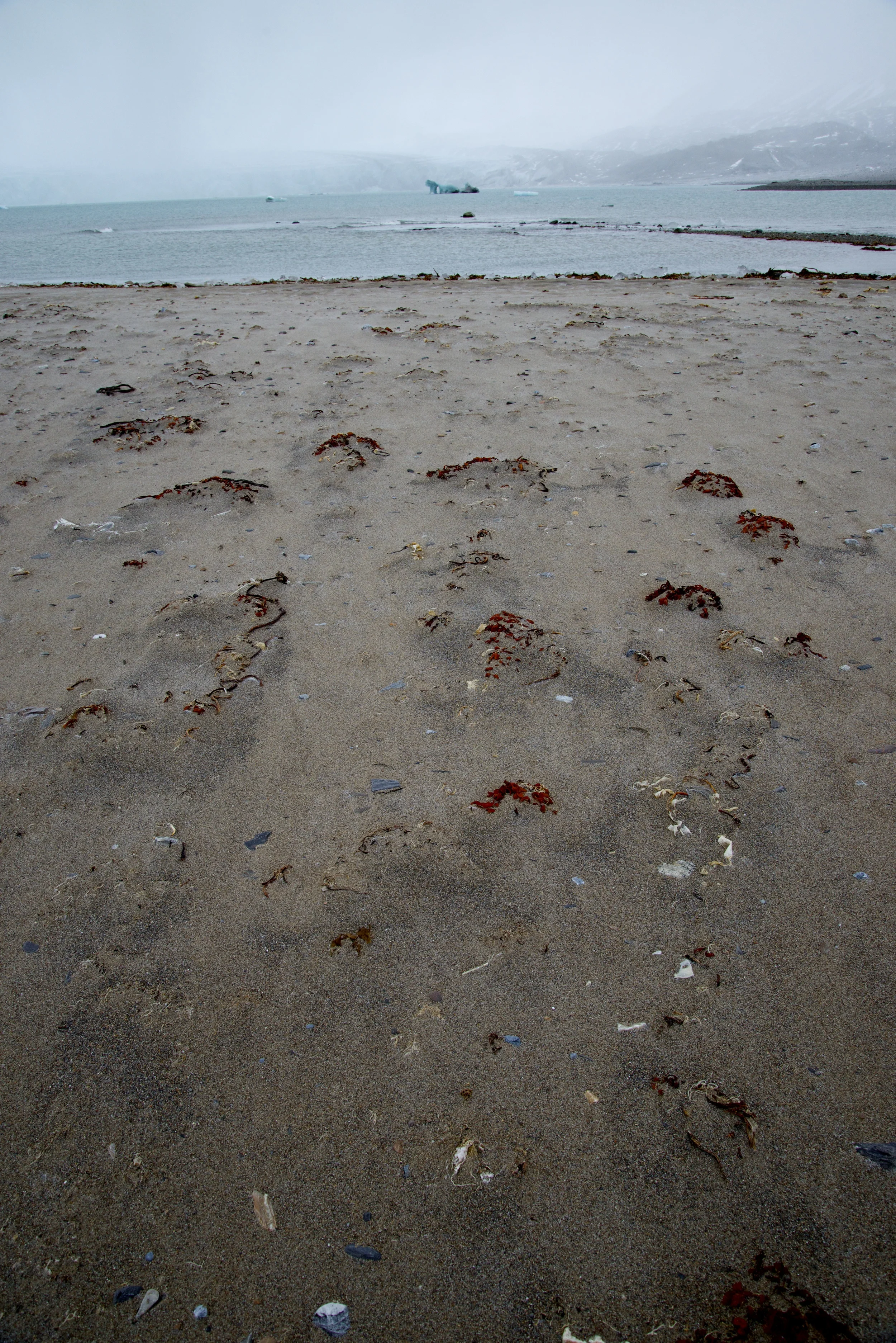 DSC_1583.jpg