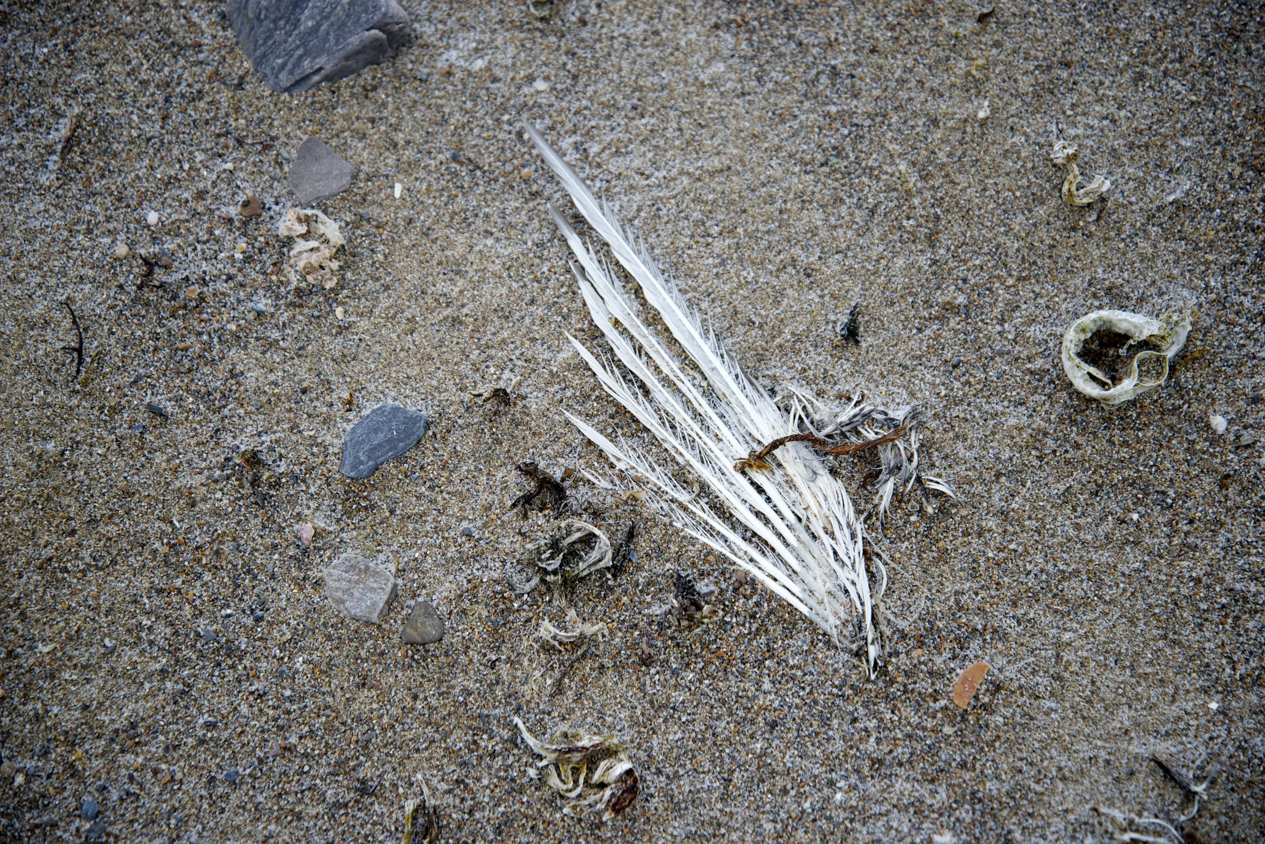DSC_1609.jpg