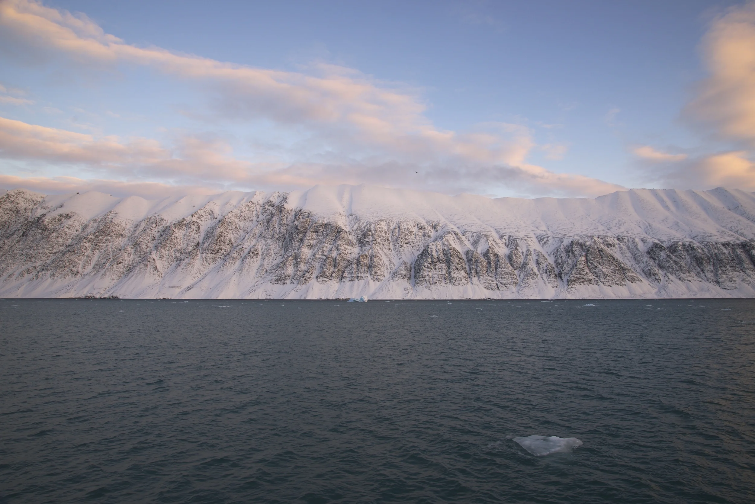 DSC_2541.jpg