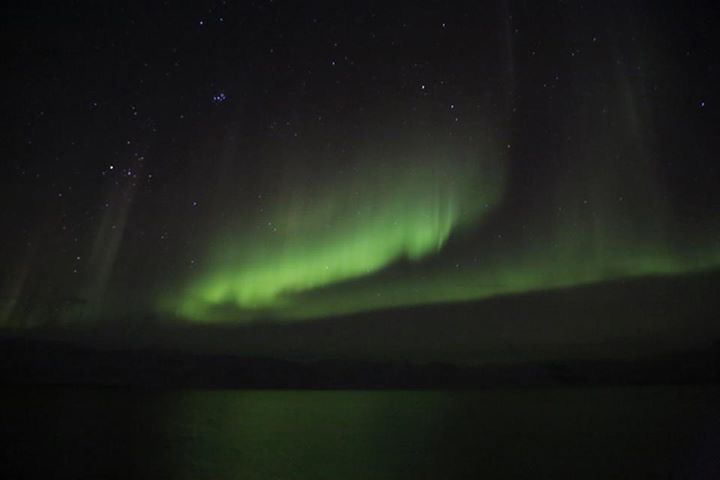 Photo credit: Rob MacInnis. I could not be uprooted from my spot to go fetch my camera.