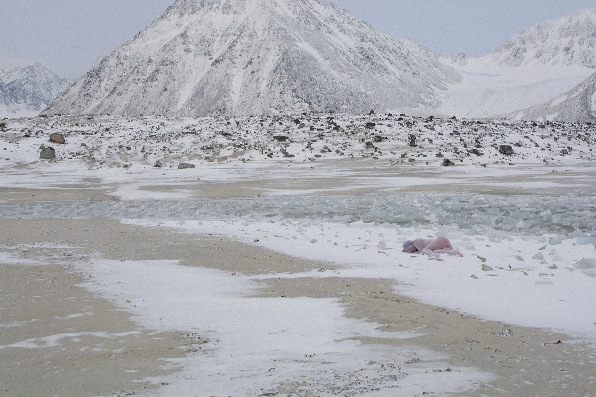 Likne Svalbard IV