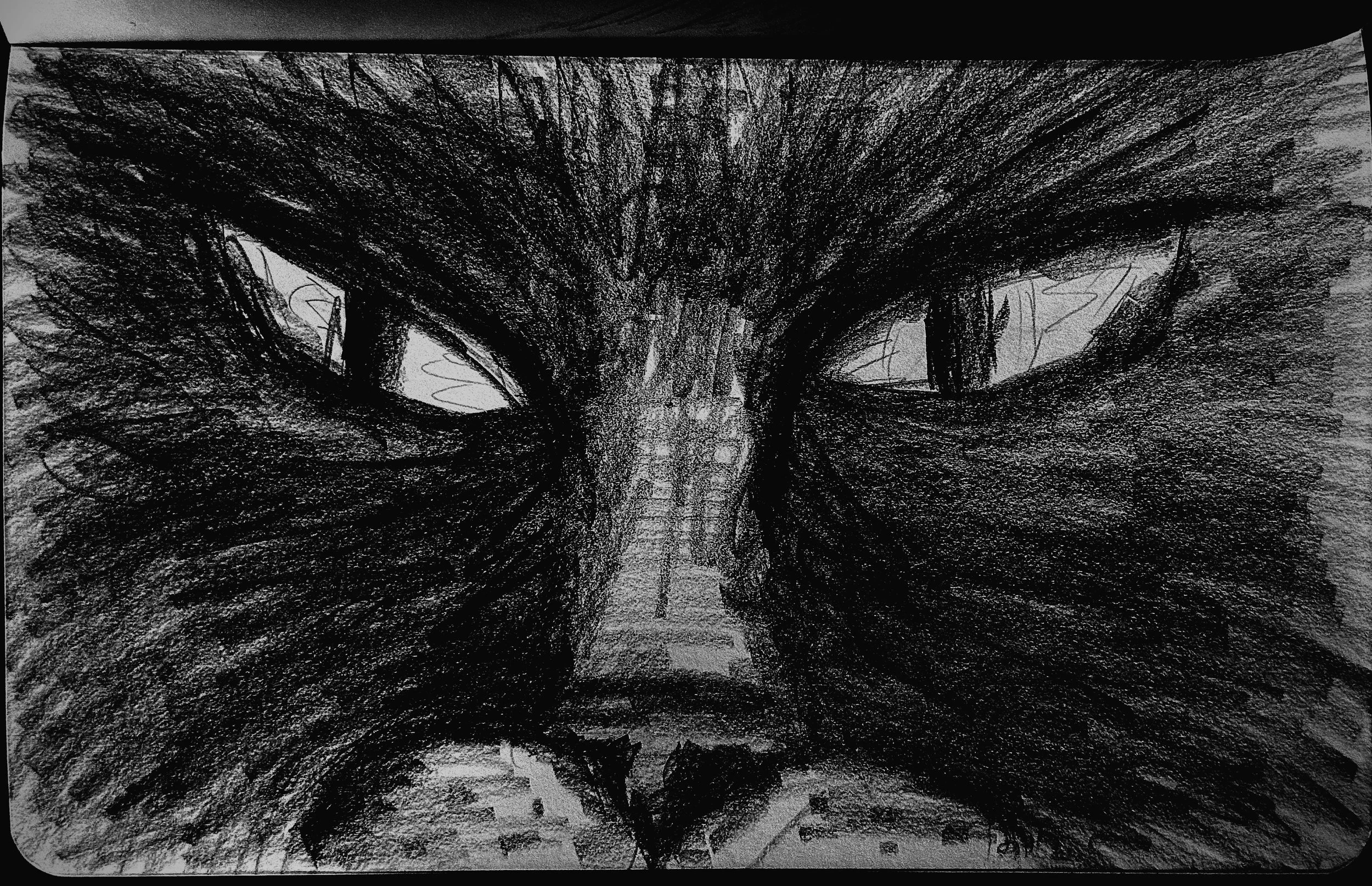 drawing-5.jpg