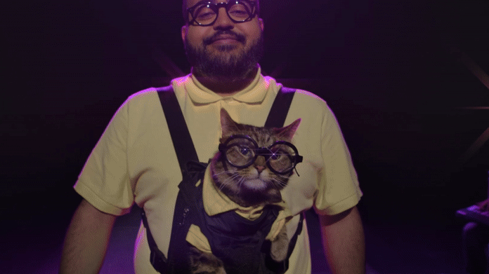 cat2.gif