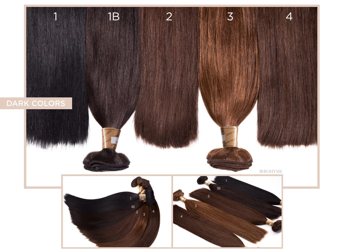 Dark Colors 1, 1B, 2, 3, 4