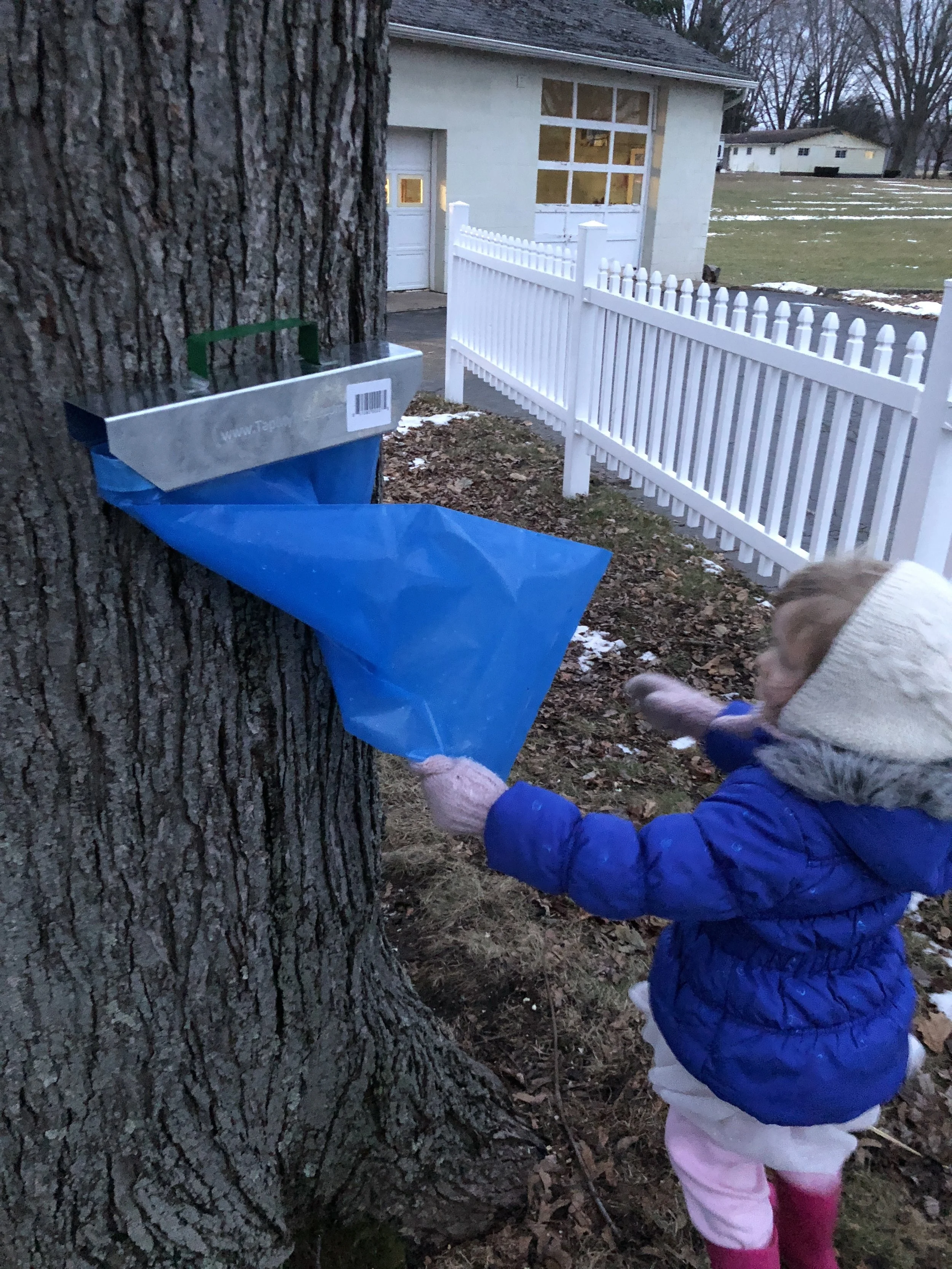 Help From A Little One