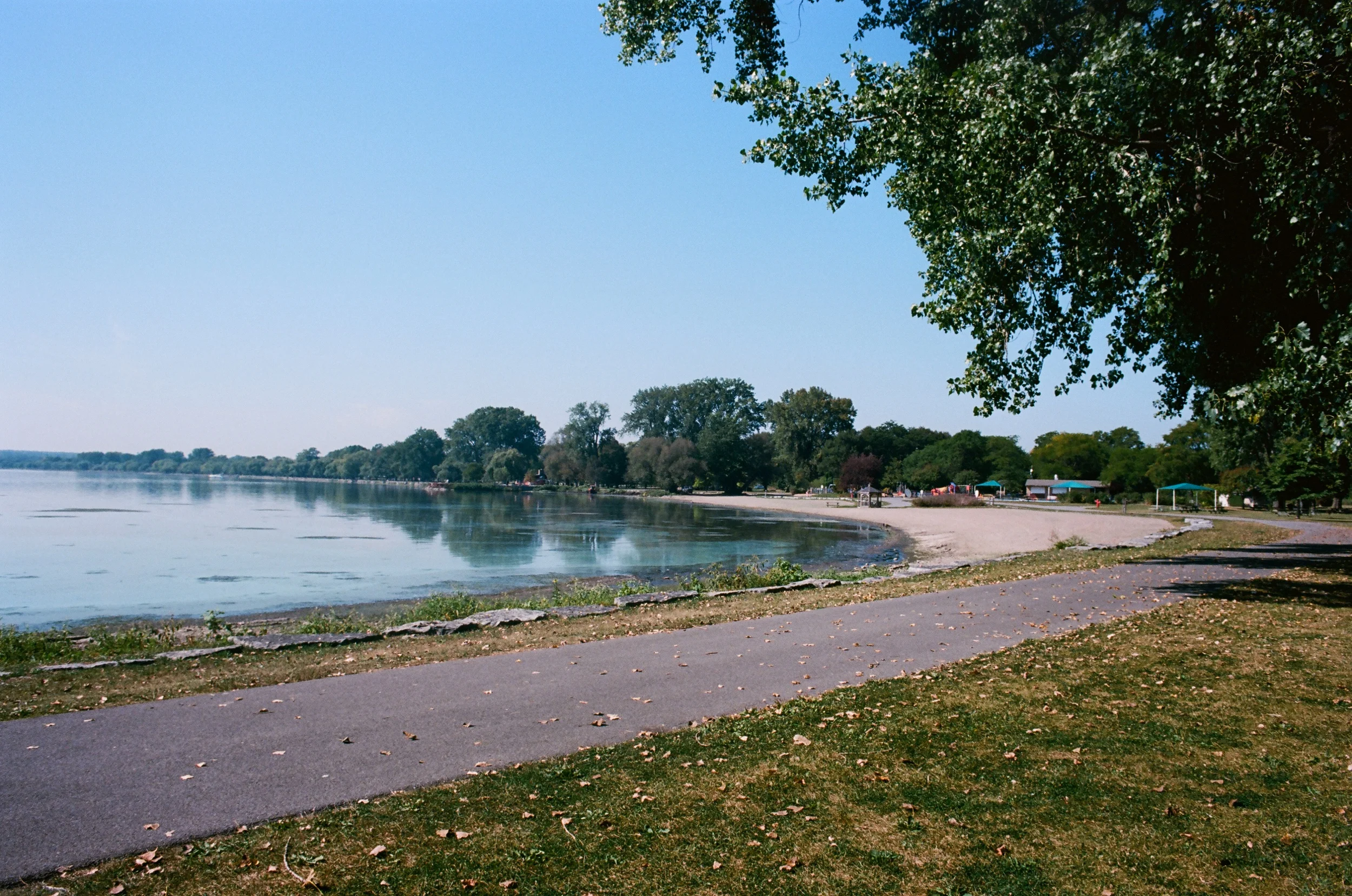 The park at Seneca Lake