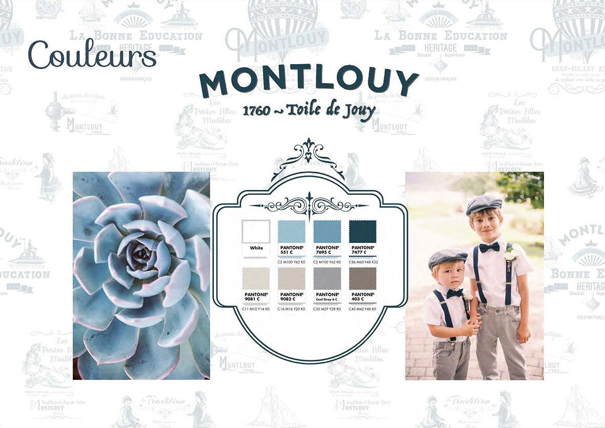 Presentation Montlouy 2017_Page_13.jpg