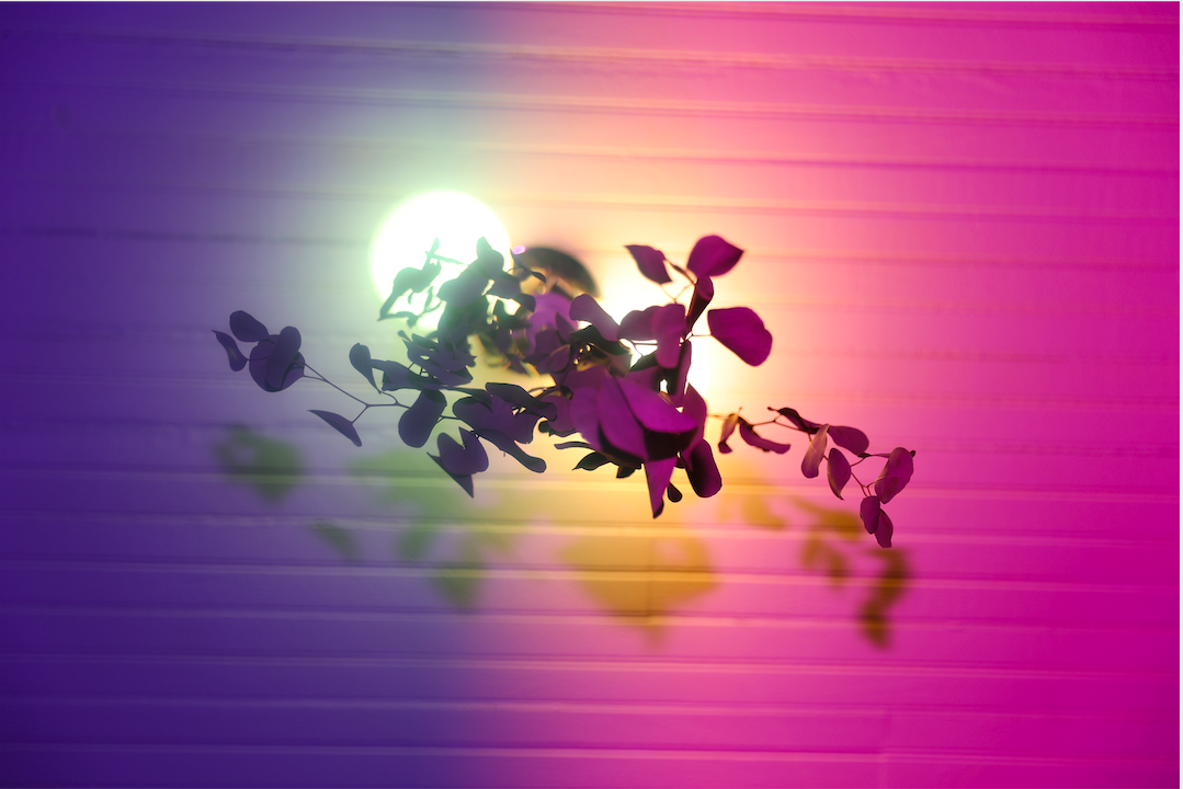 Screen Shot 2021-03-13 at 1.32.12 PM.png