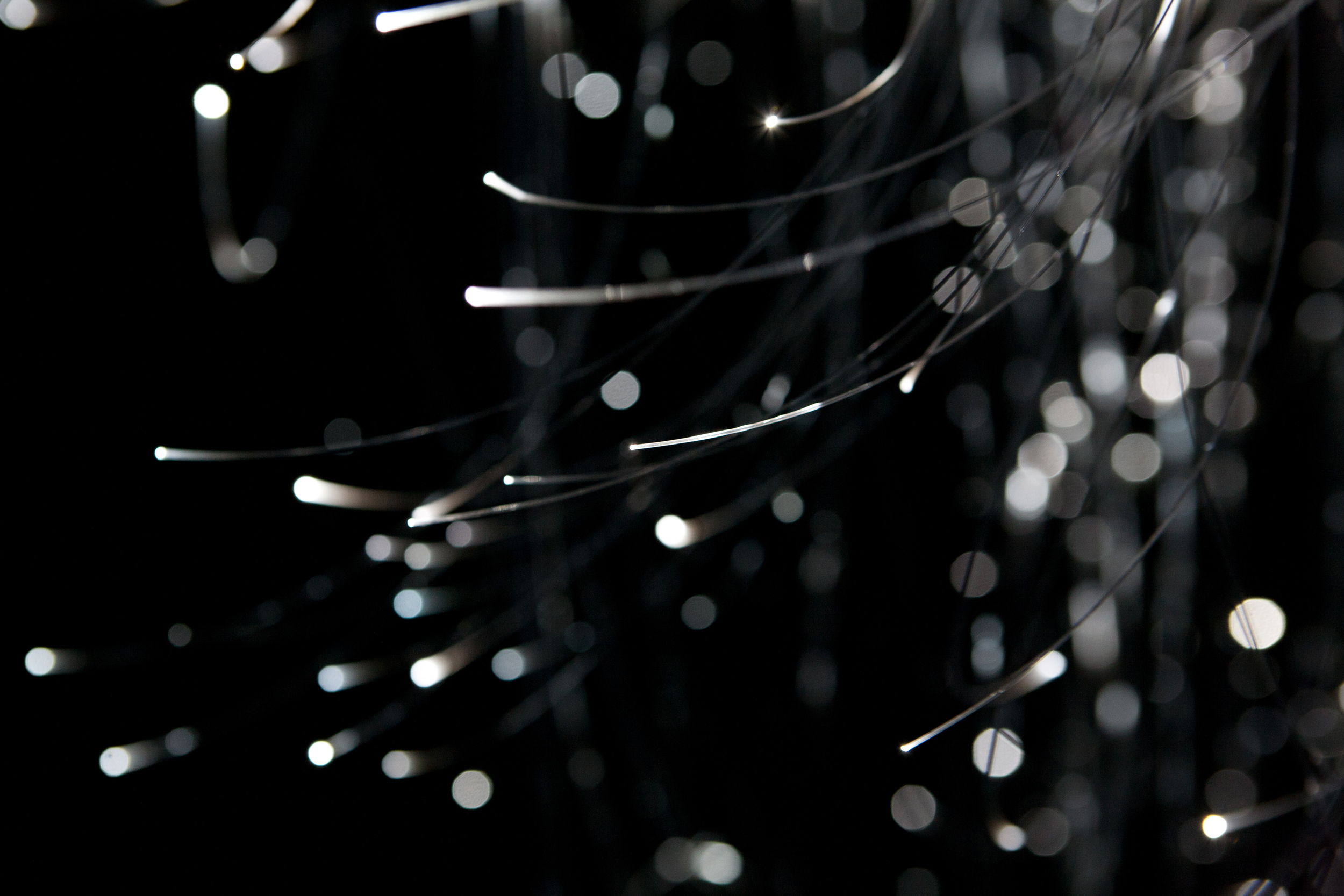 Strange Matter (detail), 2015