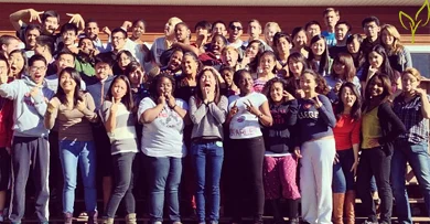 Northeastern U Growth