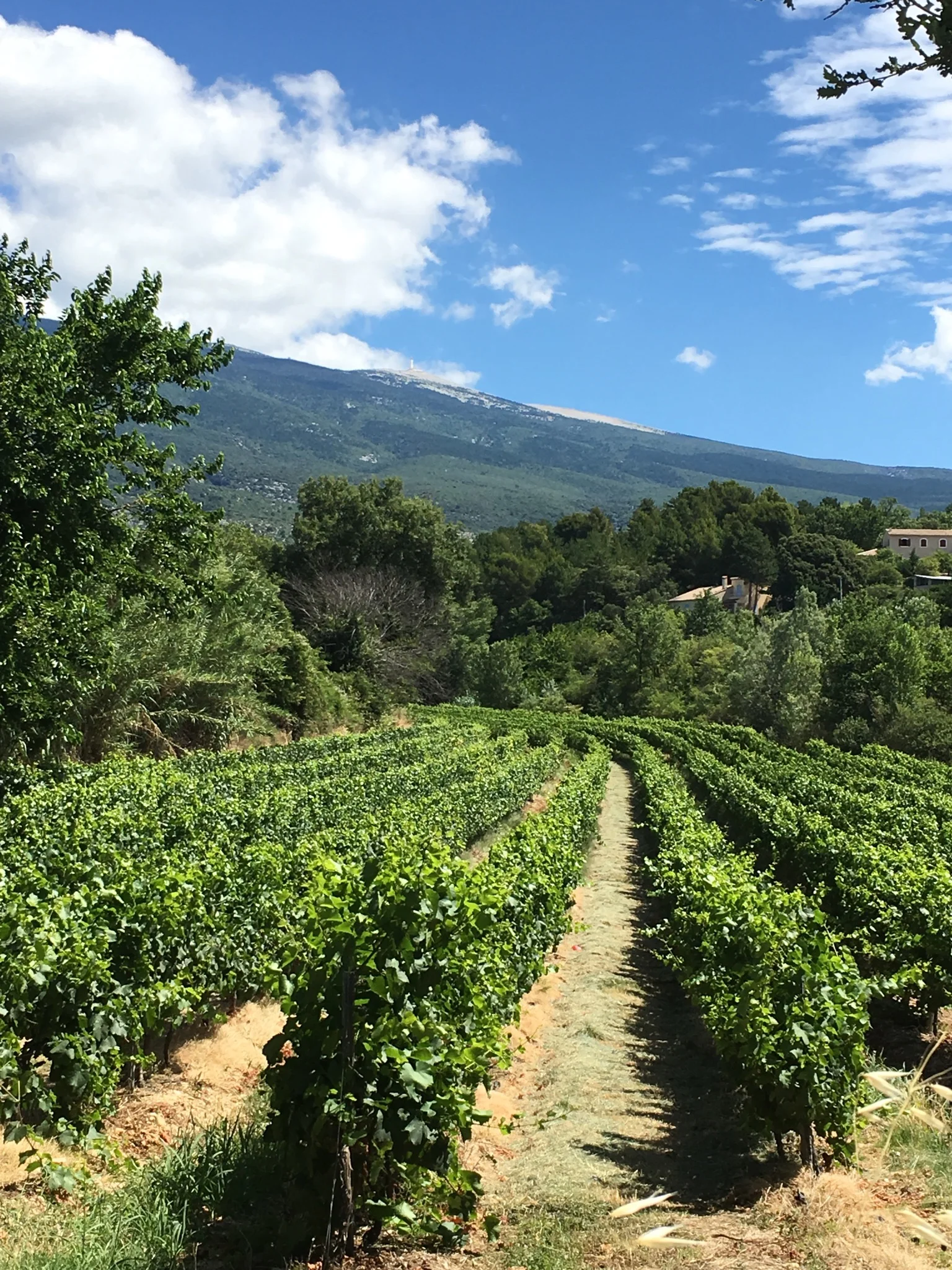 Hard Men of Ventoux Deposit