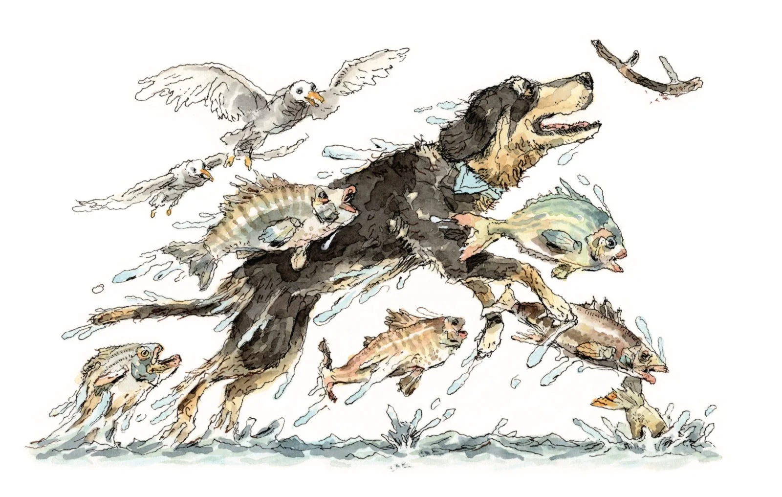 Dog leaping with fish