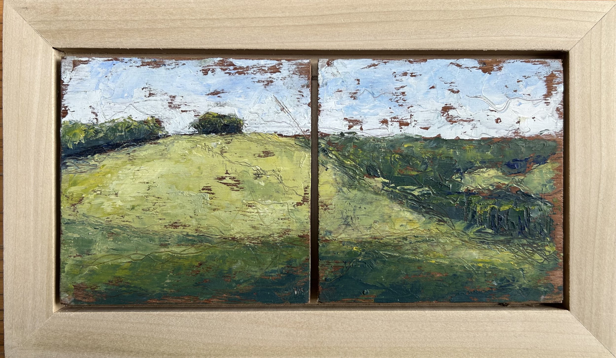 Ipsden copse at midday.jpeg