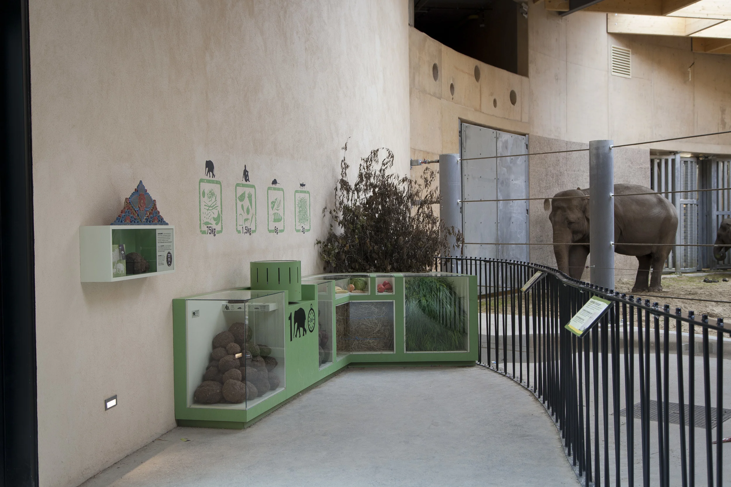 Olifantenverblijf Planckendael 2012