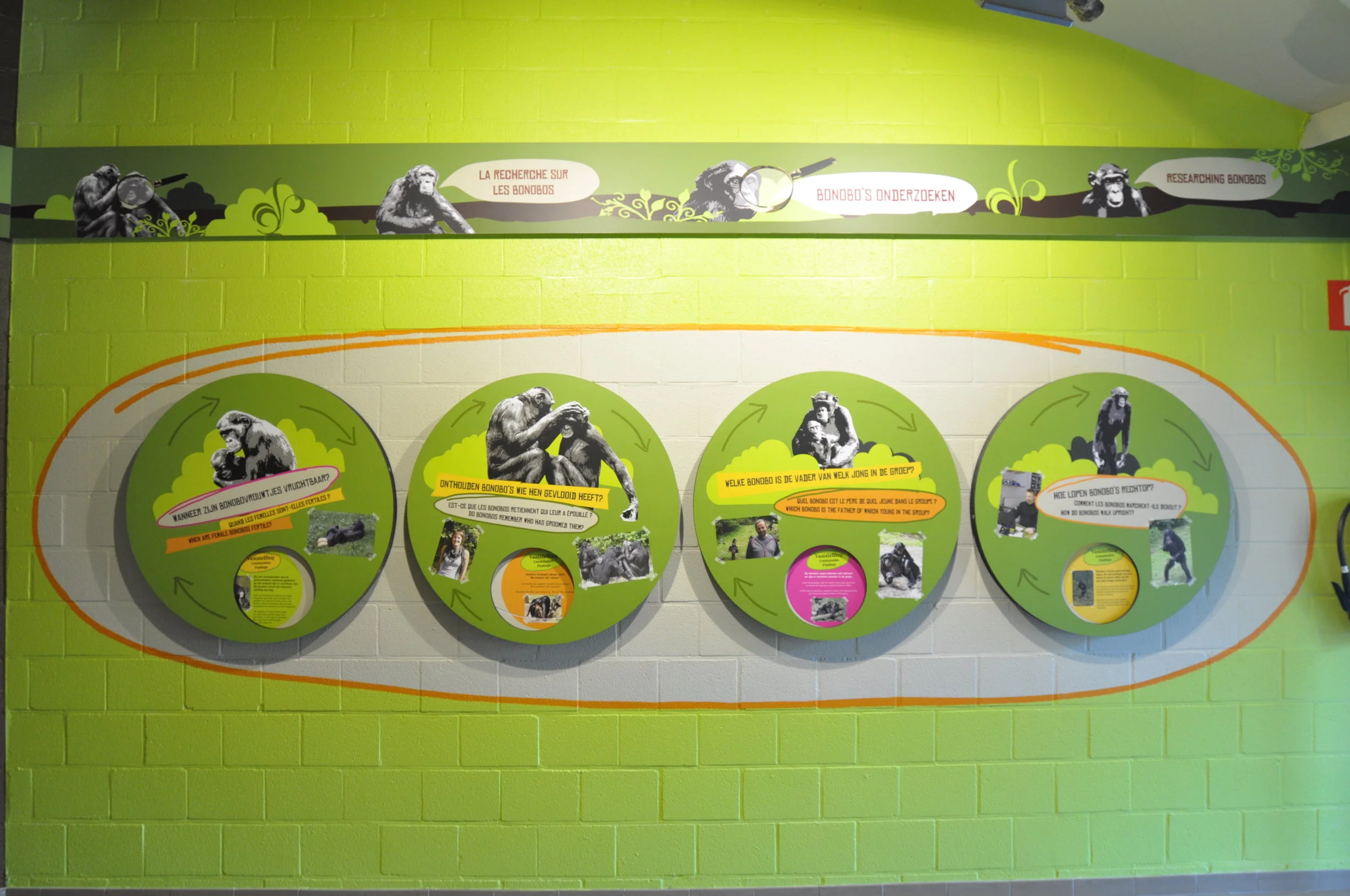 0H DSC_0311.JPG .JPG