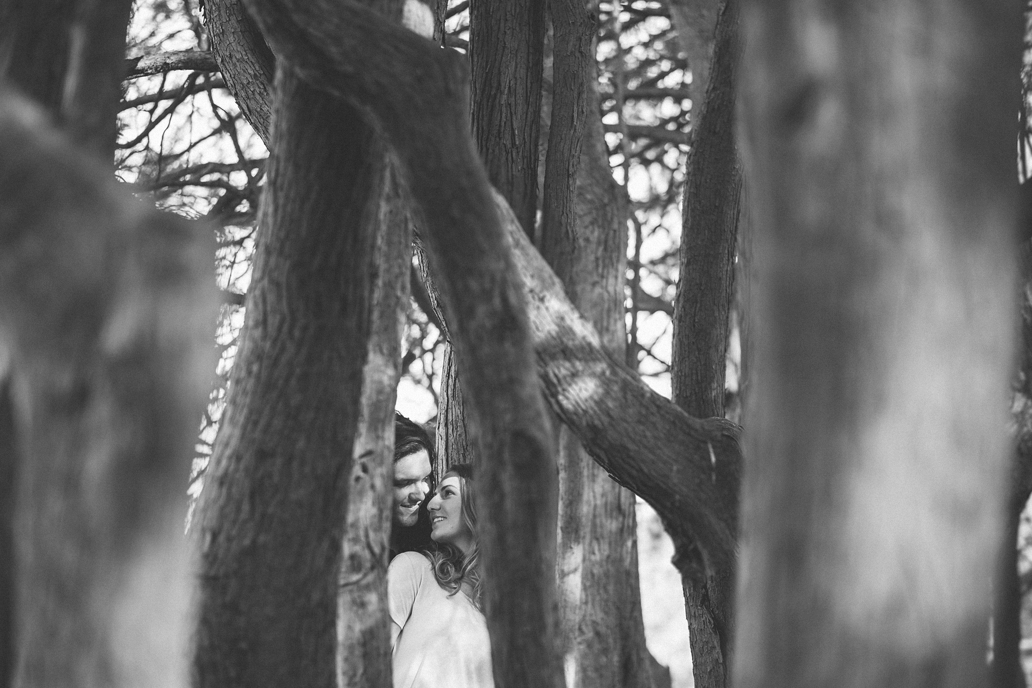 02-coupleintrees.jpg