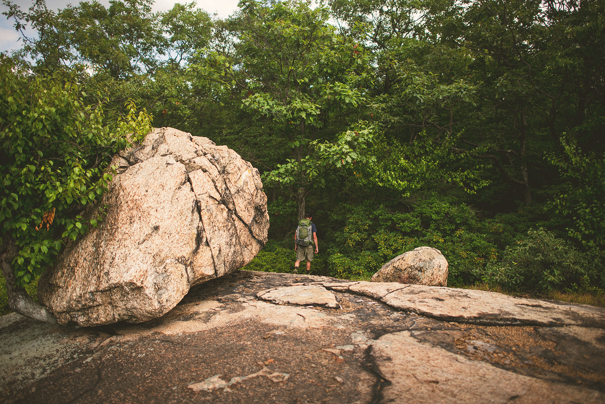 134814Harriman.jpg