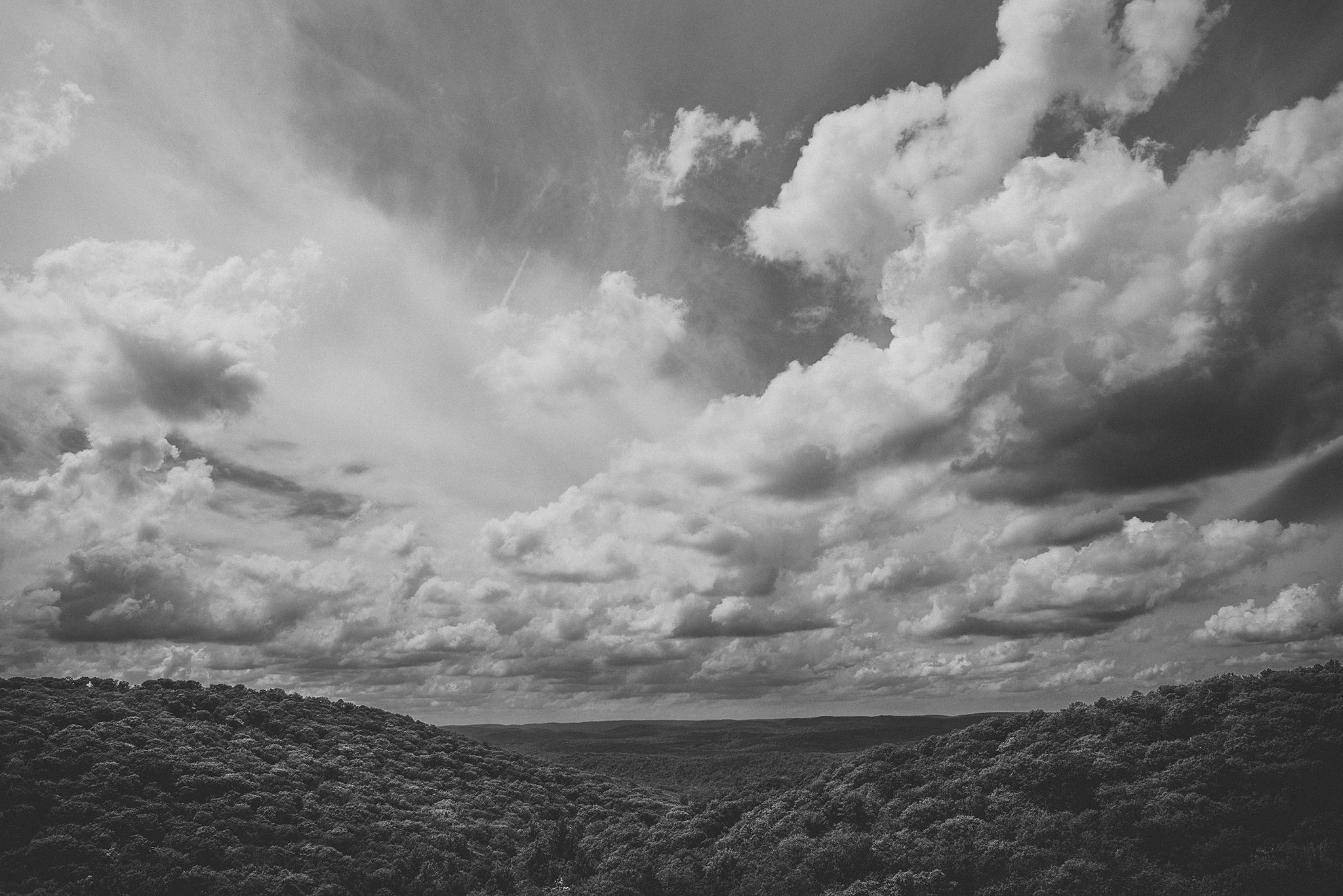 135412Harriman.jpg