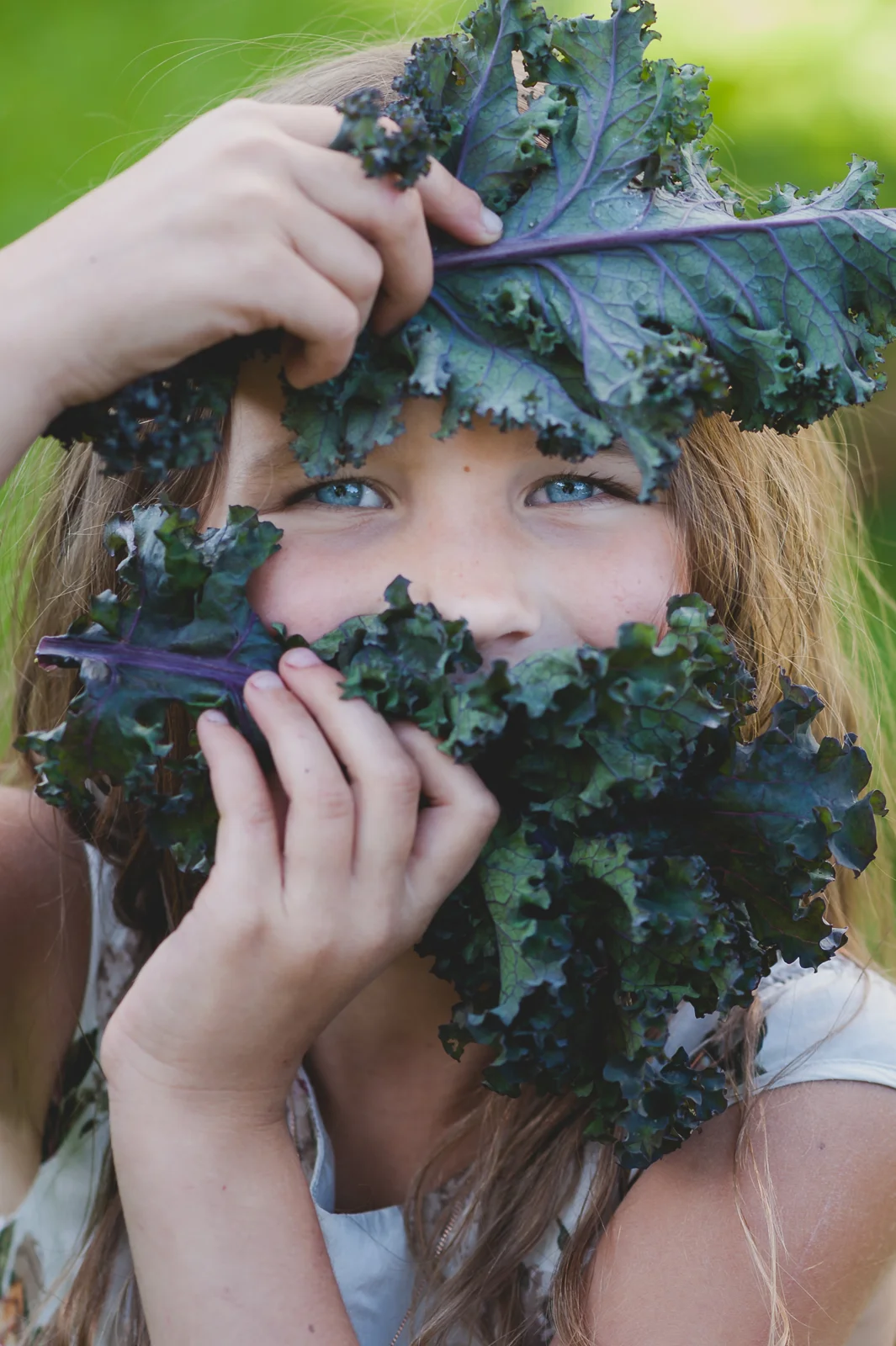 Raw Food Cookbook / Toortoidu A ja O