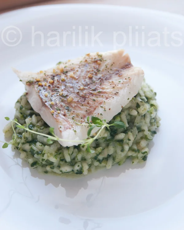 Kohafilee spinatirisotoga