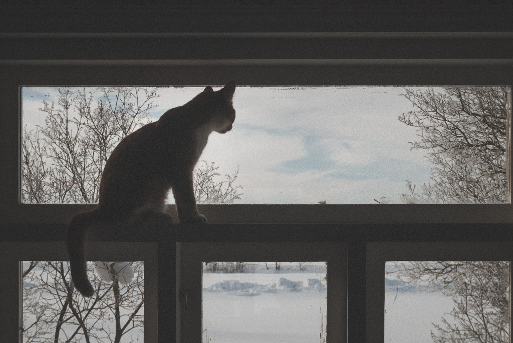 DSC_4161.jpg