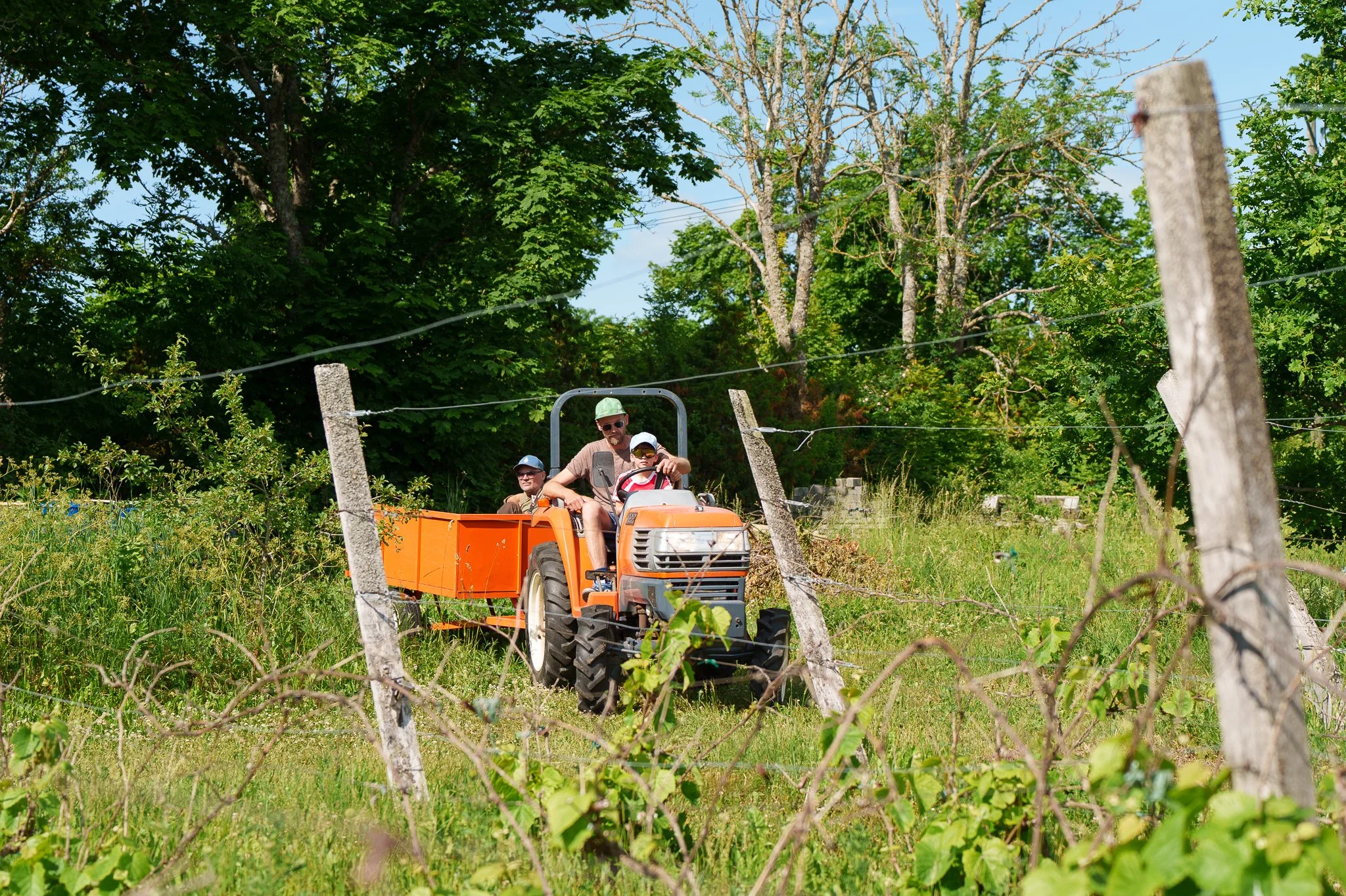 Two men and a boy riding a small orange tractor in a winyard