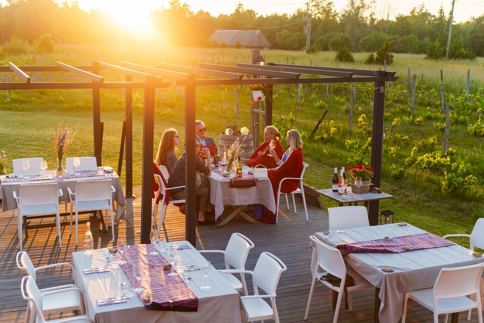 More Than a Place to Stay: Visual Storytelling at Muhu Winery