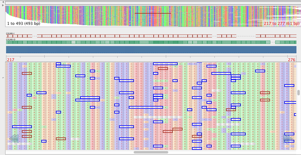 Some of the sequence data produced from the MinION sequencer.