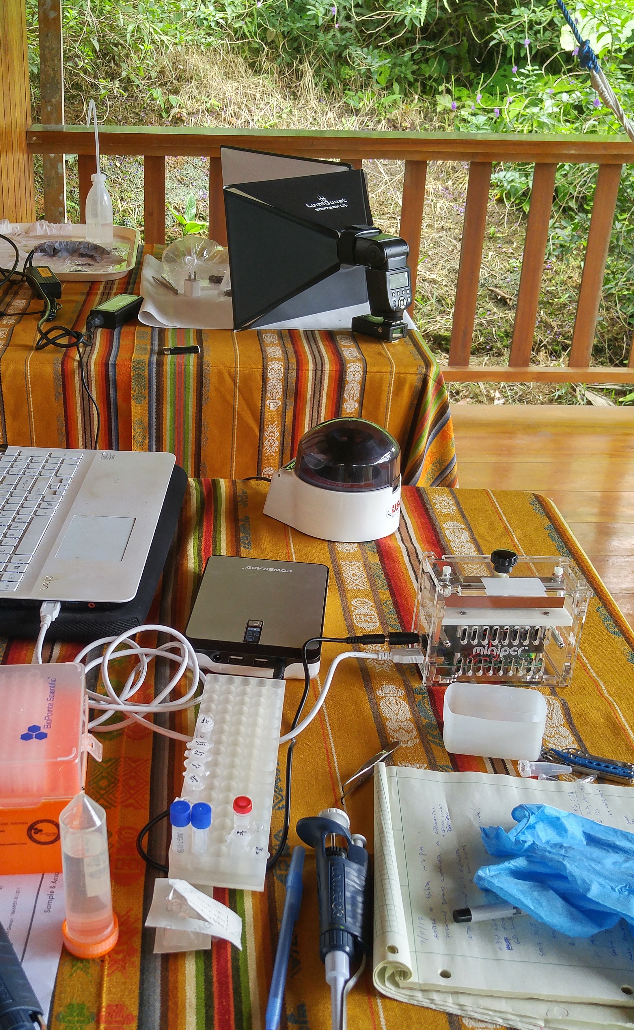 Part of the DNA extraction and PCR set-up at our field site.