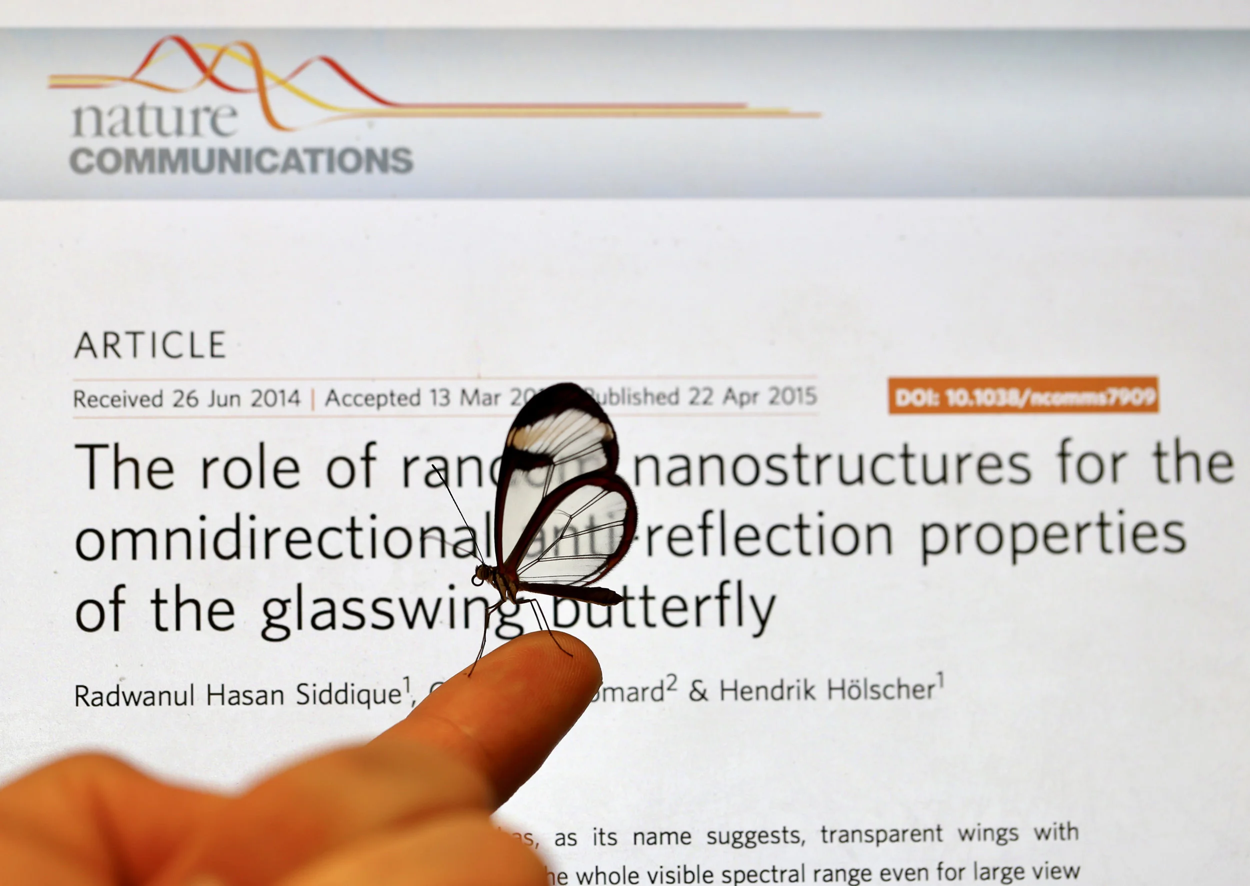 The role of random nanostructures for the omnidirectional anti-reflection properties of the glasswing butterfly by Siddique et al. 2015