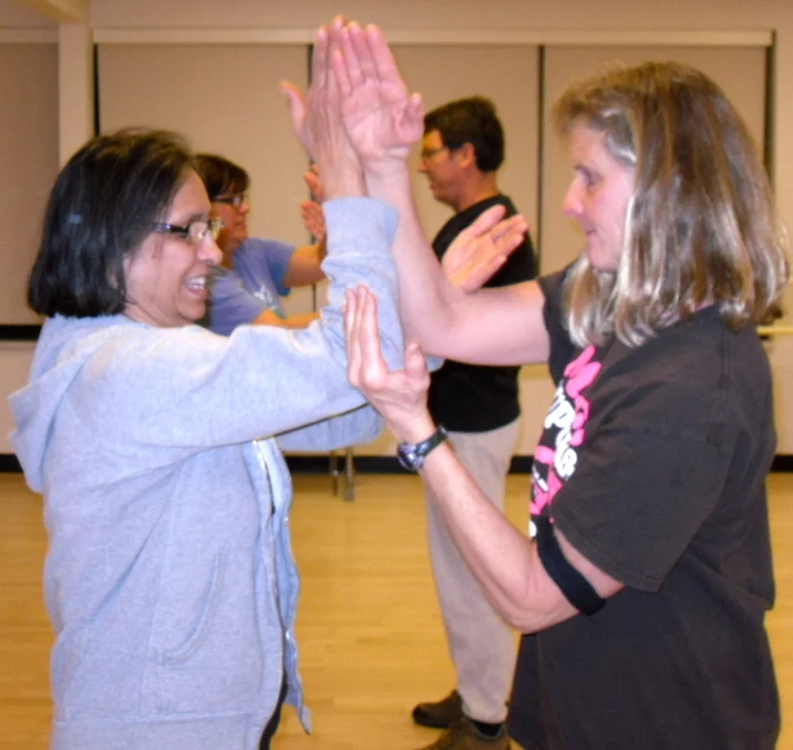 Two person Tai Chi class 