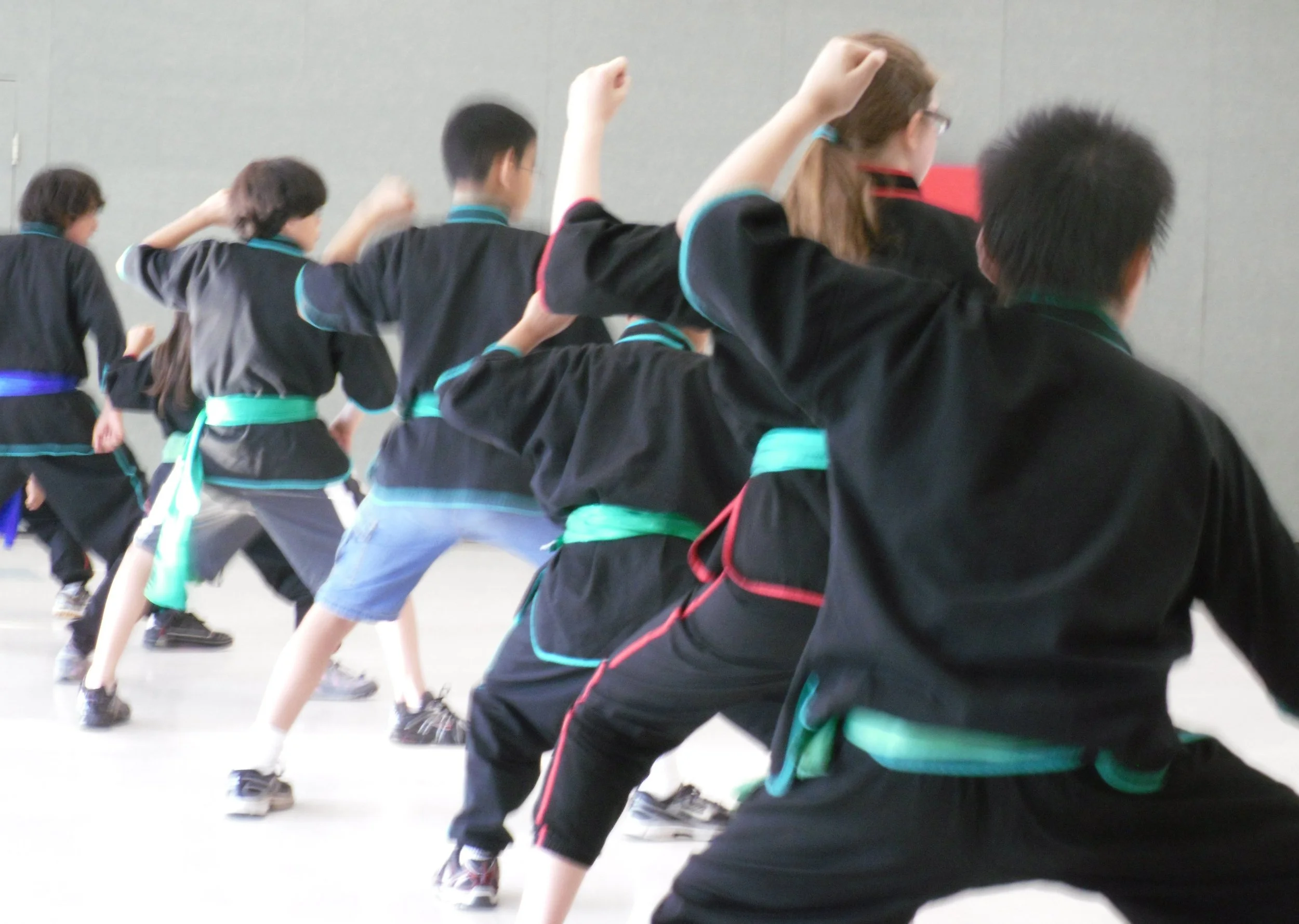 horse stance from back view.JPG