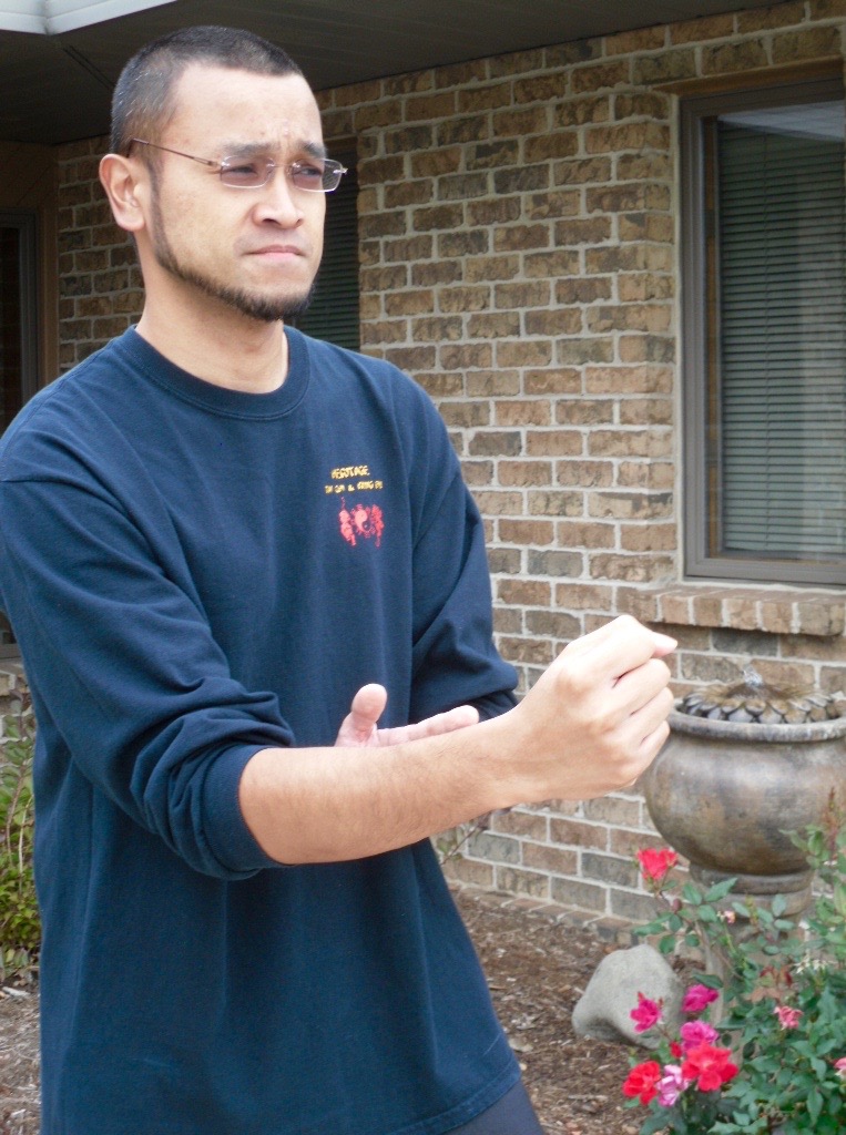 TAI CHI FORM PRACTICE