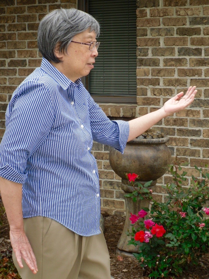 tai chi FORM PRACTICE - NAPERVILLE PARK DISTRICT