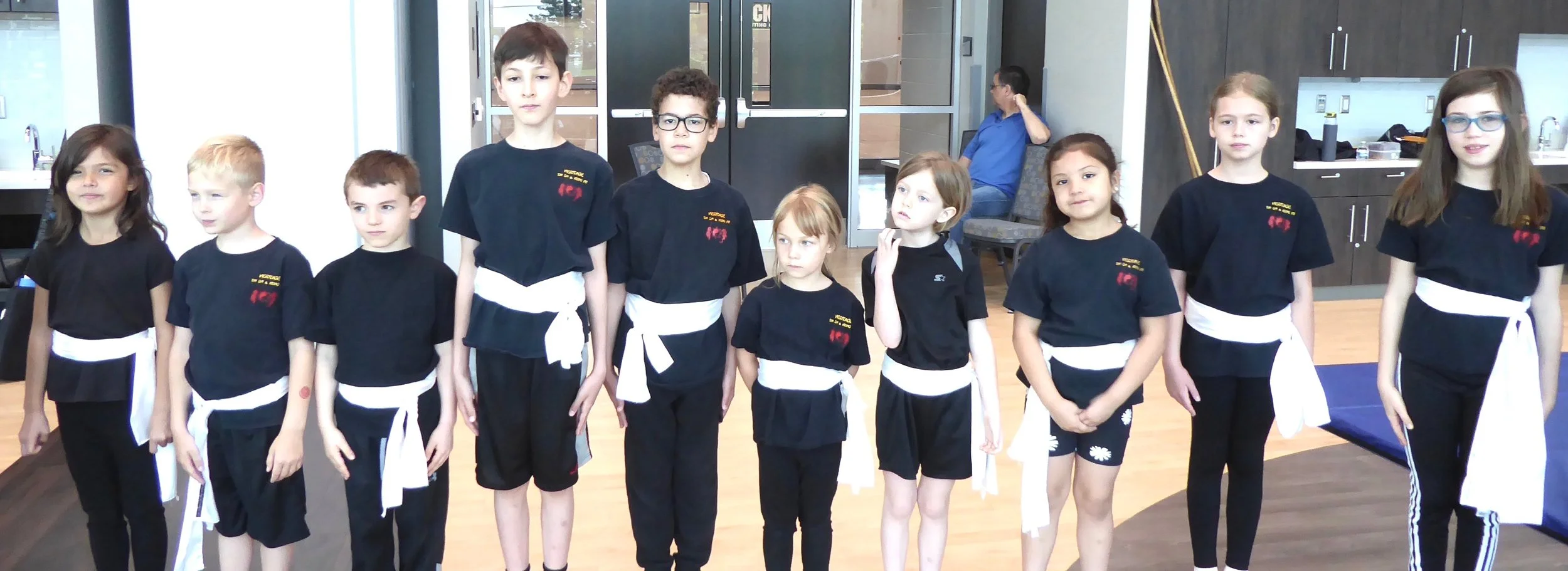 Kids Kung Fu class, Aurora Illinois