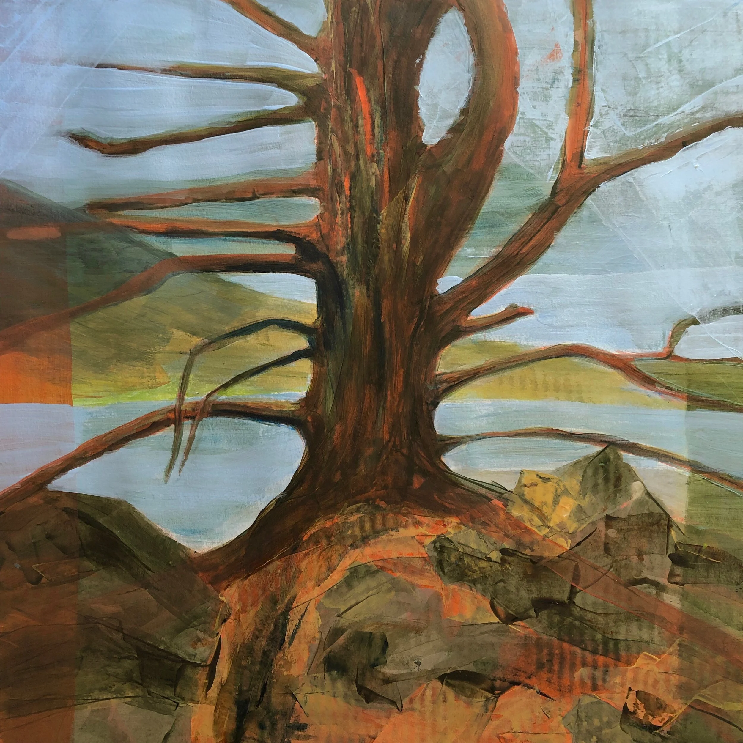 Ancient Juniper on the Deschutes
