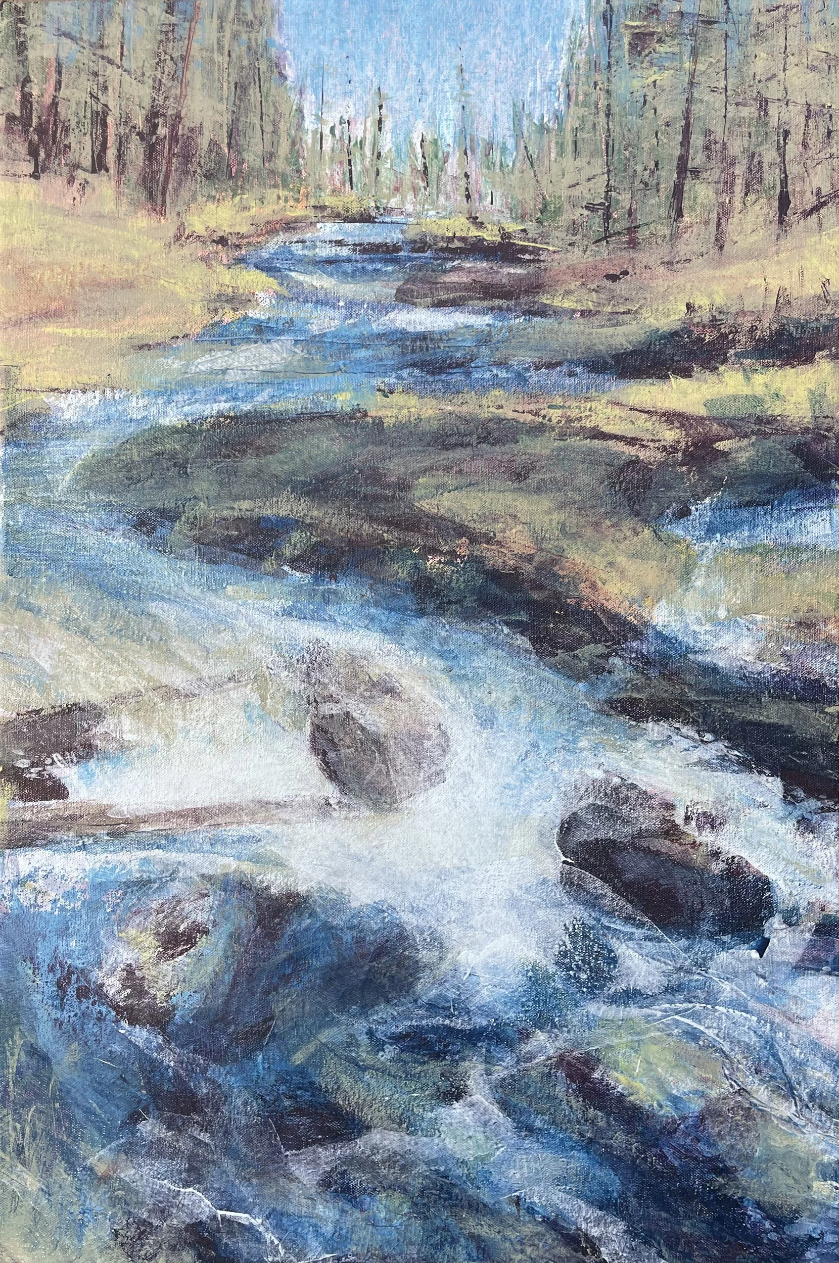 Tranquility in Chaos – Paulina Creek