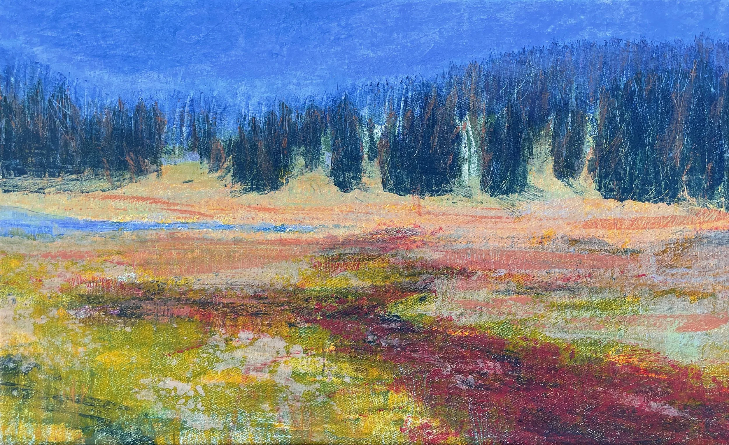 Hazy Cornflower Skies – Todd Lake