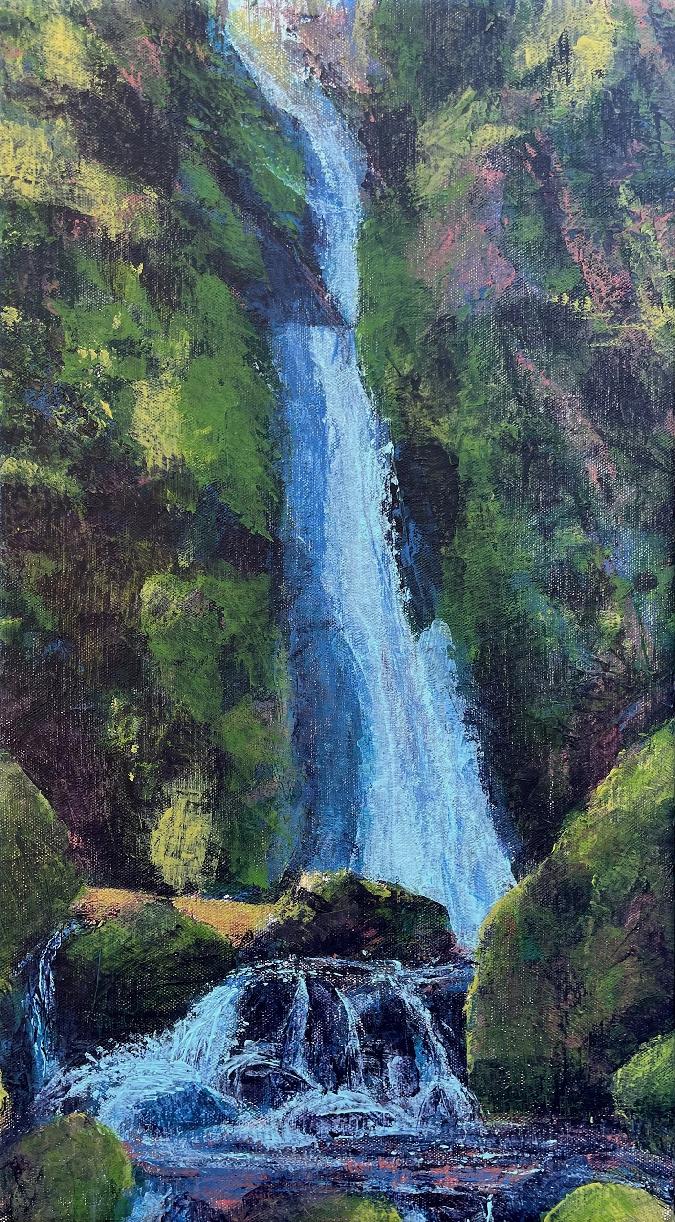 Lower Soda Creek Falls, acrylic, 18x10 inches
$360. more details
