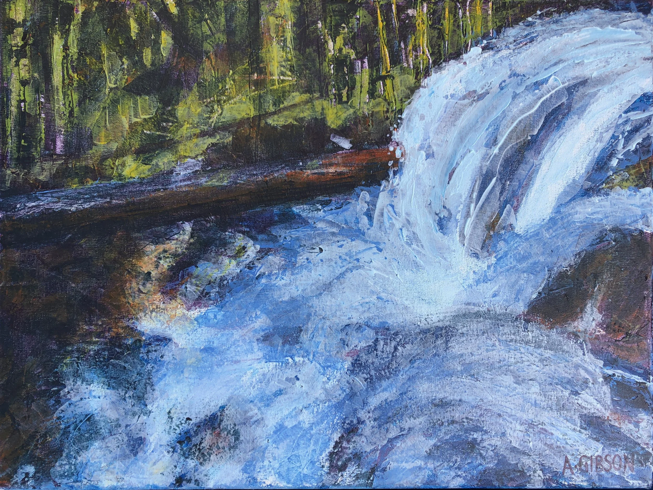 Cacophony in the Forest – North Fork Tumalo Creek